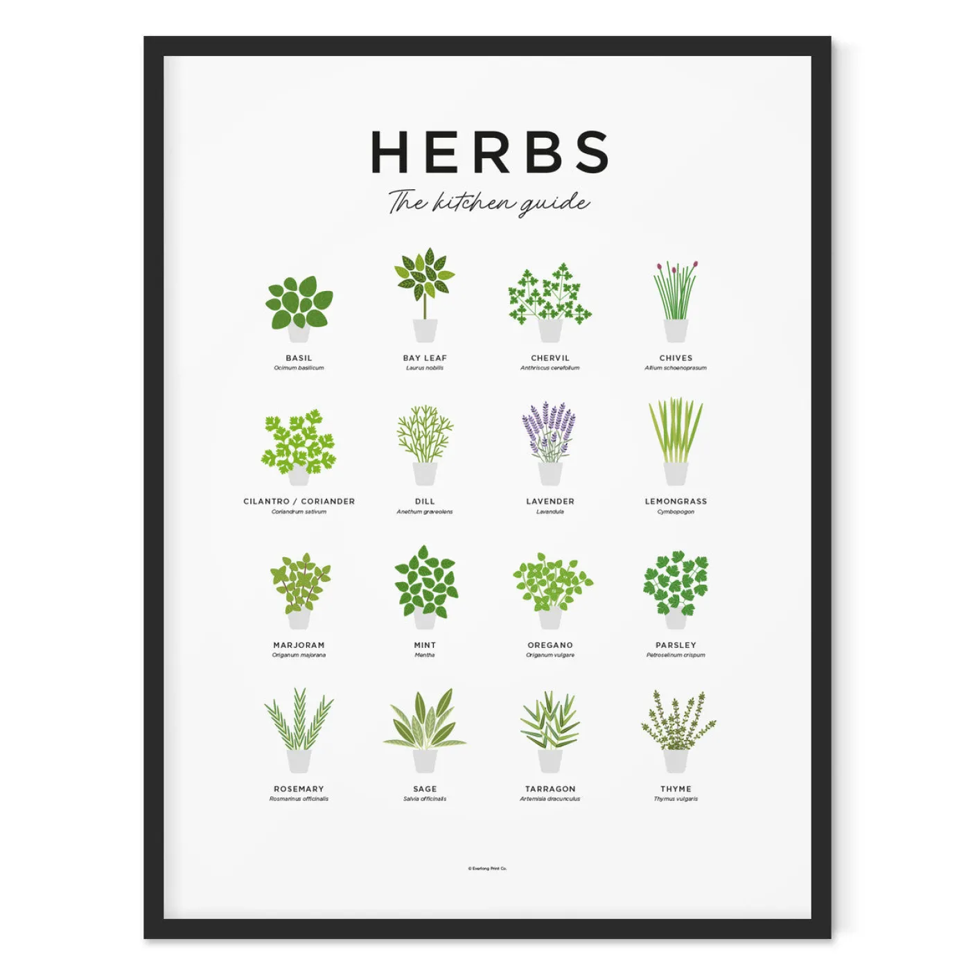 Herbs Guide Print - Framed