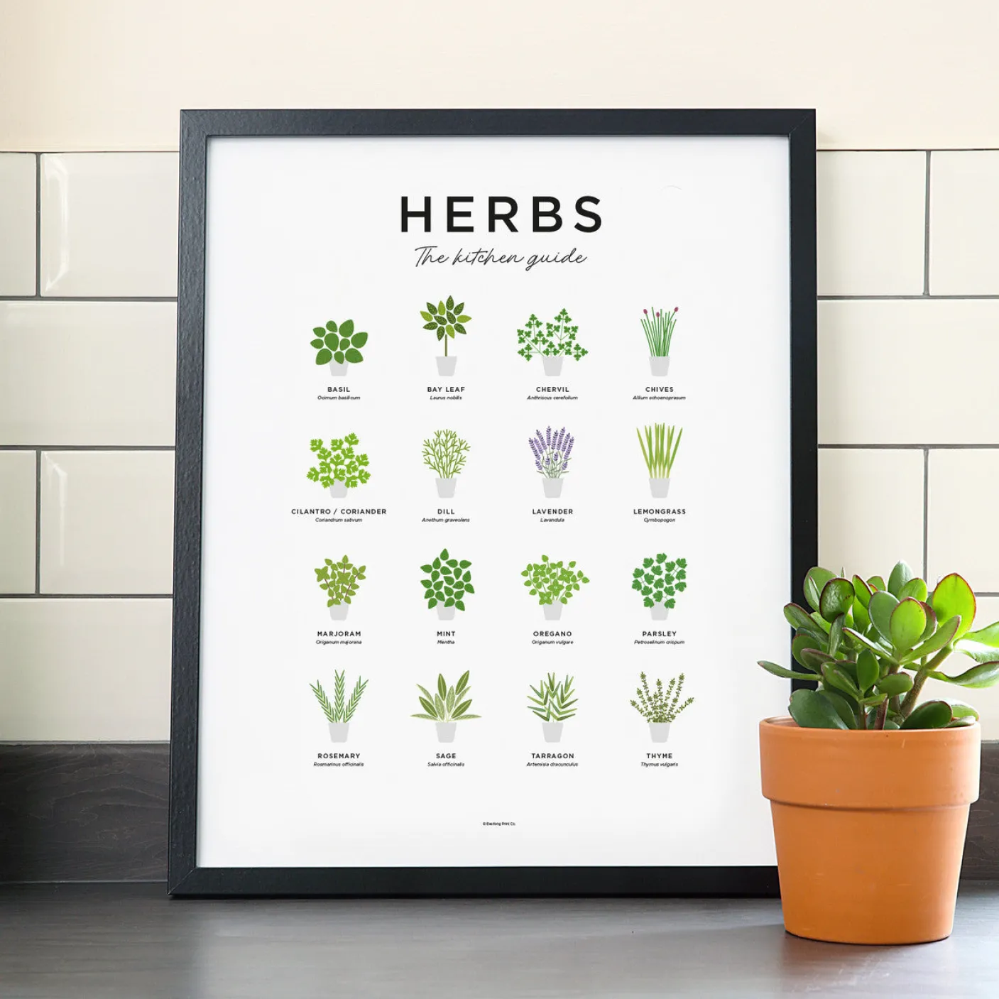 Herbs Guide Print - Framed