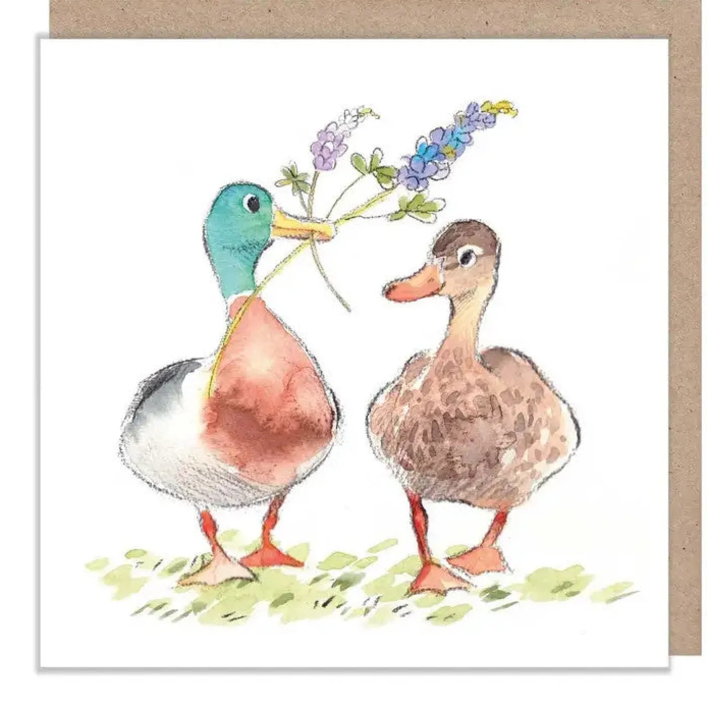 Mallards Greetings Card