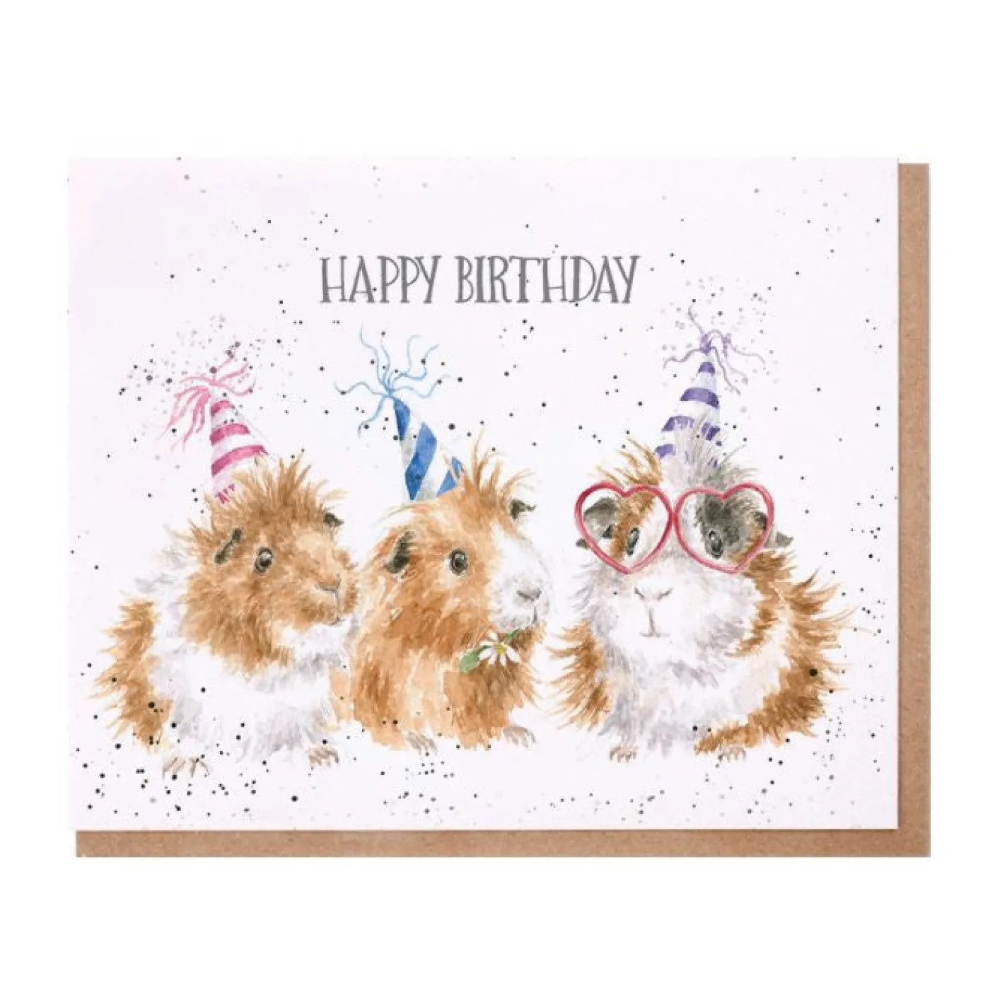 'Celebrate in Style' Guinea Pig Birthday Card