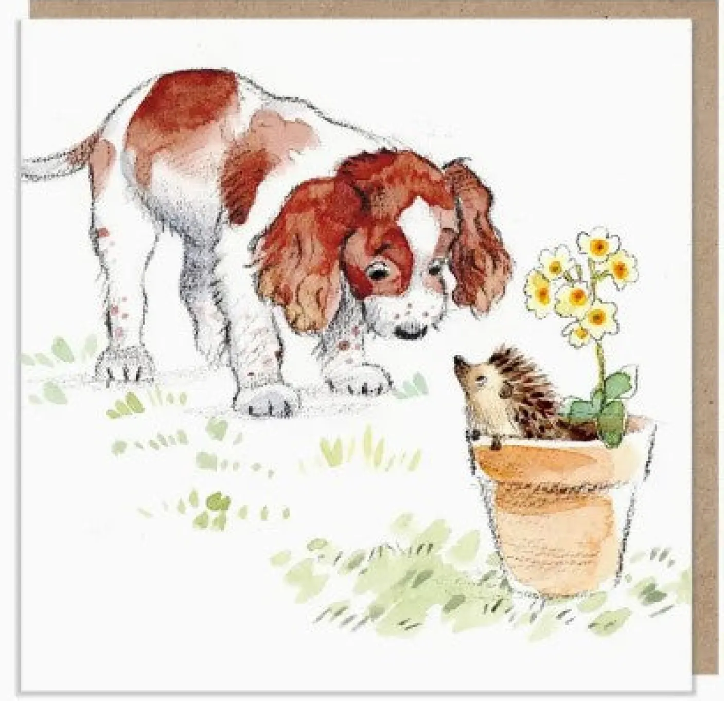 Spaniel with Hedgehog Greetings Card