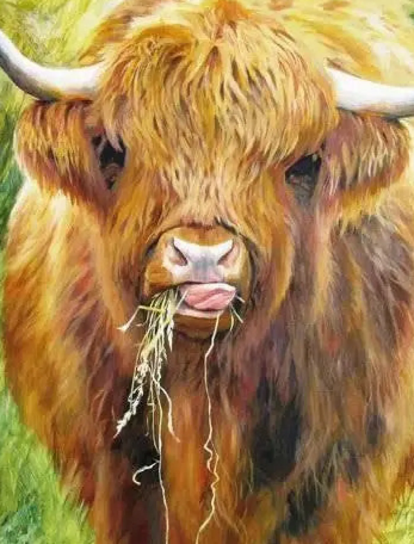 Highland Cow by Gill Erskine-Hill 1000 piece Jigsaw