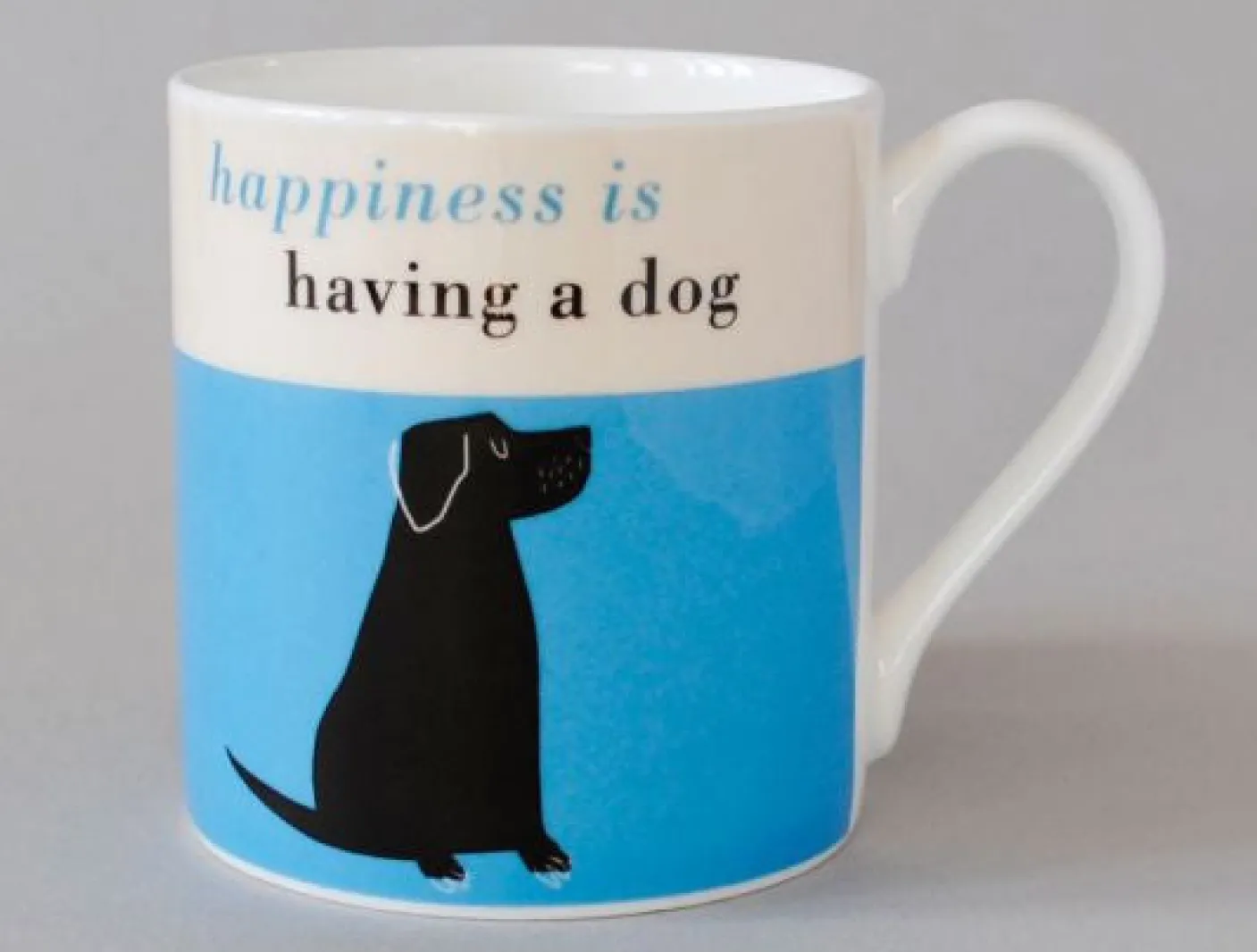 Happiness Black Lab Turquoise Mug