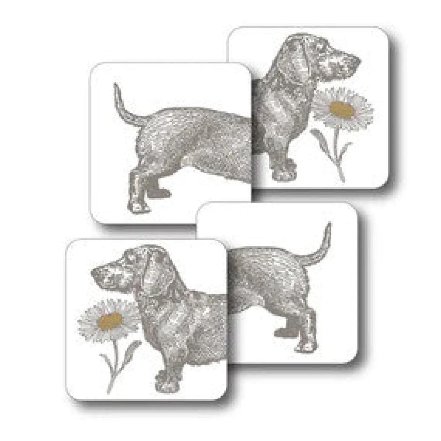 Dog and Daisy Set of 4 Coasters
