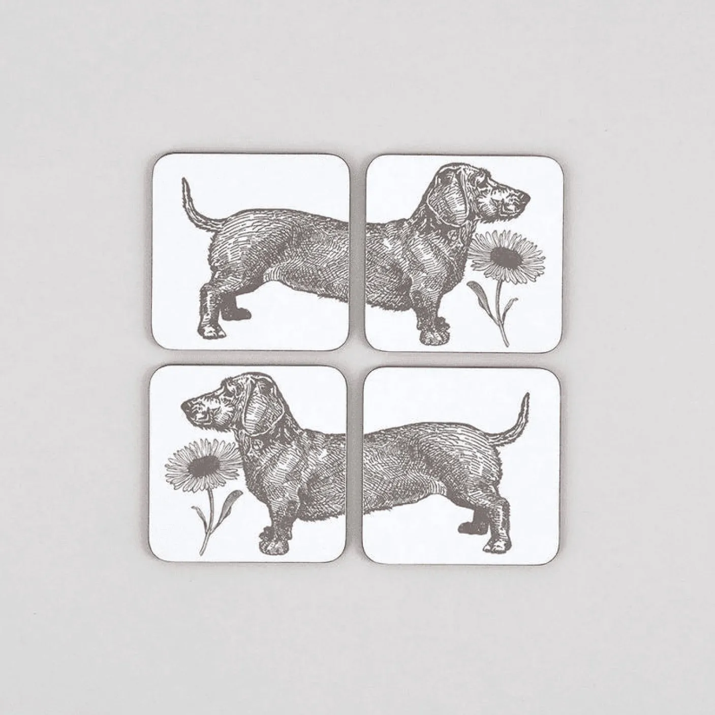 Dog and Daisy Set of 4 Coasters