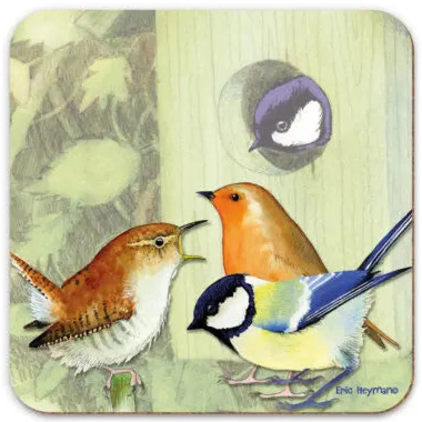 British Birds 1 Coaster