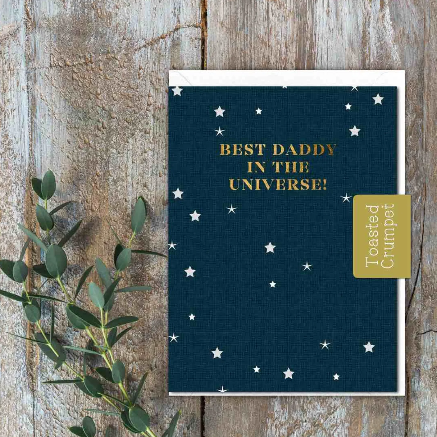 Best Daddy in the Universe Greetings Card