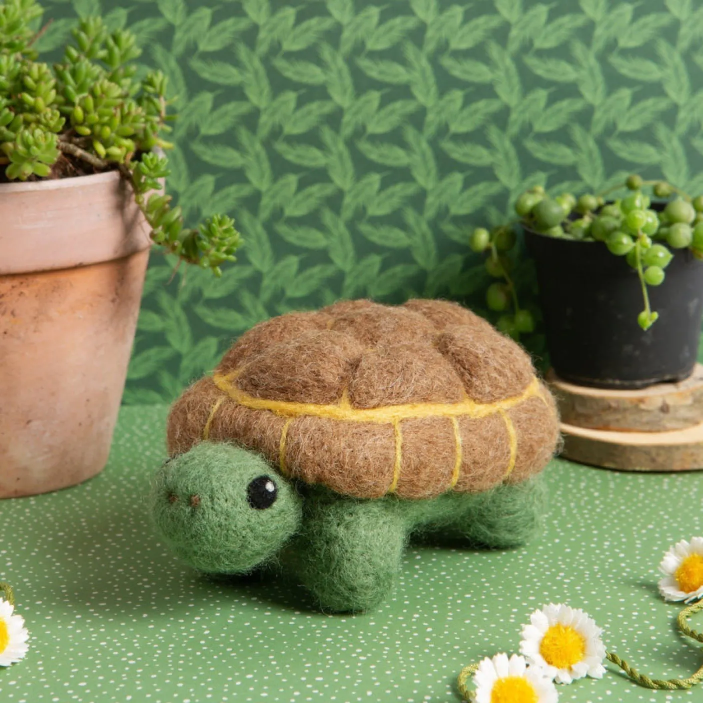 Tortoise Needle Felting Kit