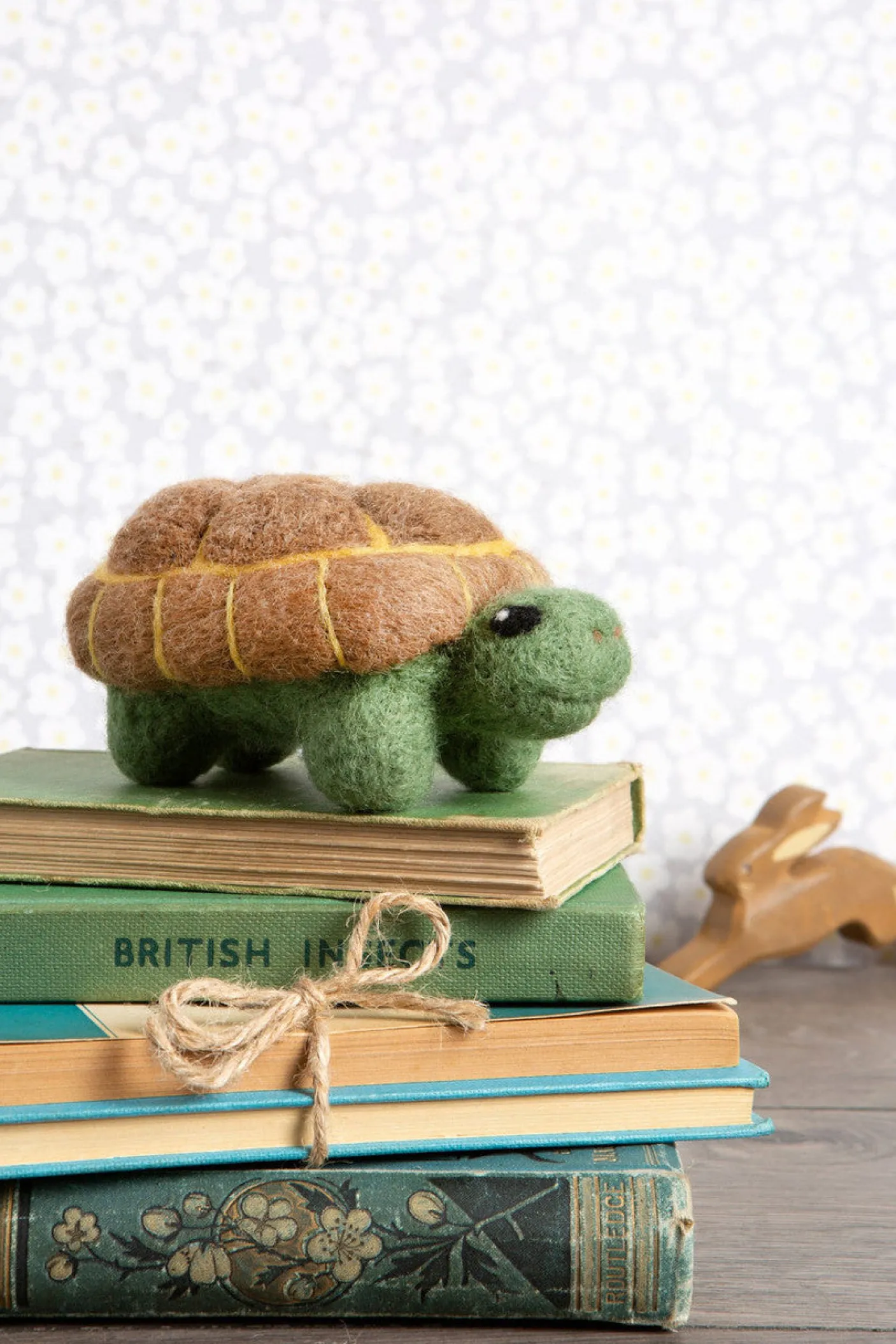 Tortoise Needle Felting Kit