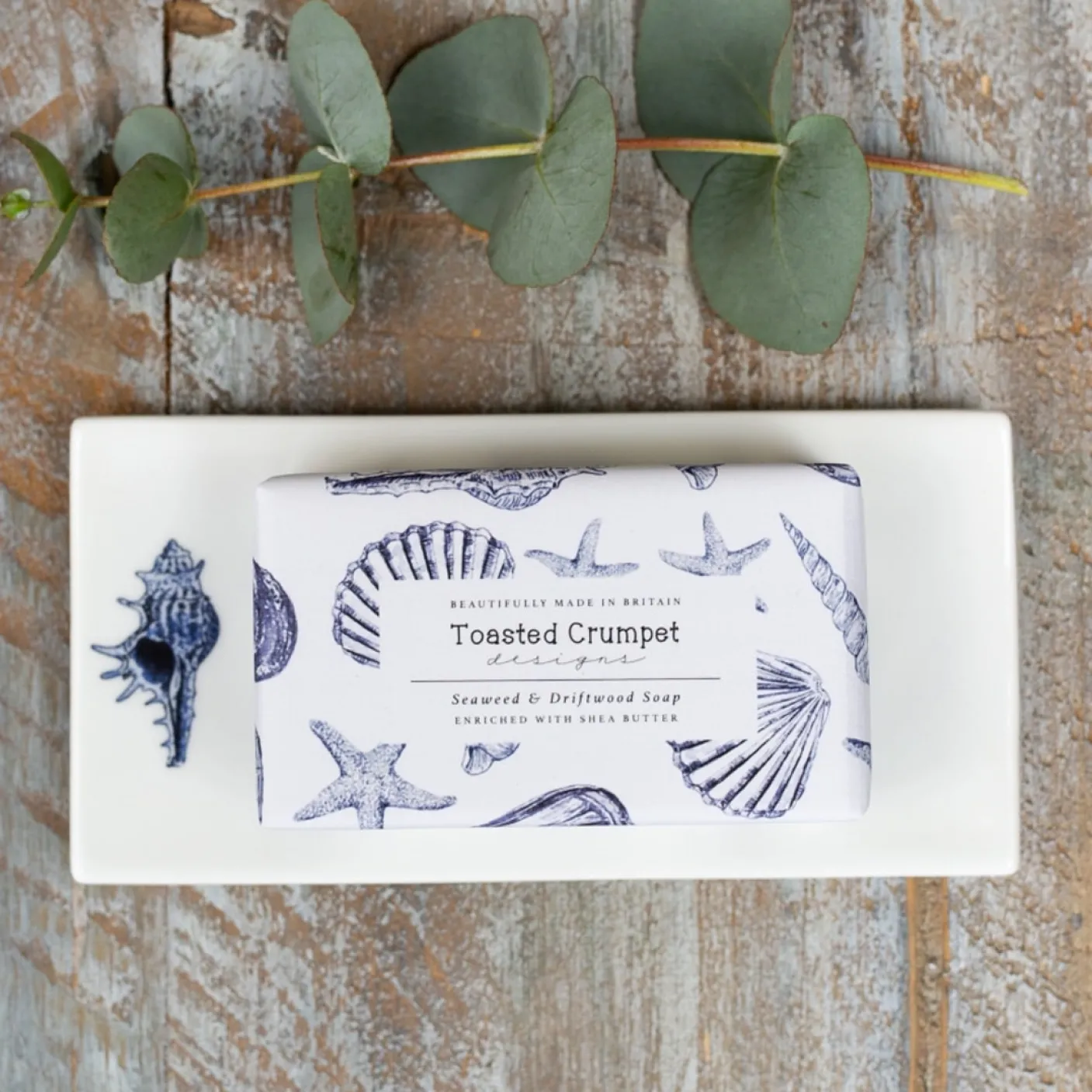 Conch China Rectangular Soap Dish