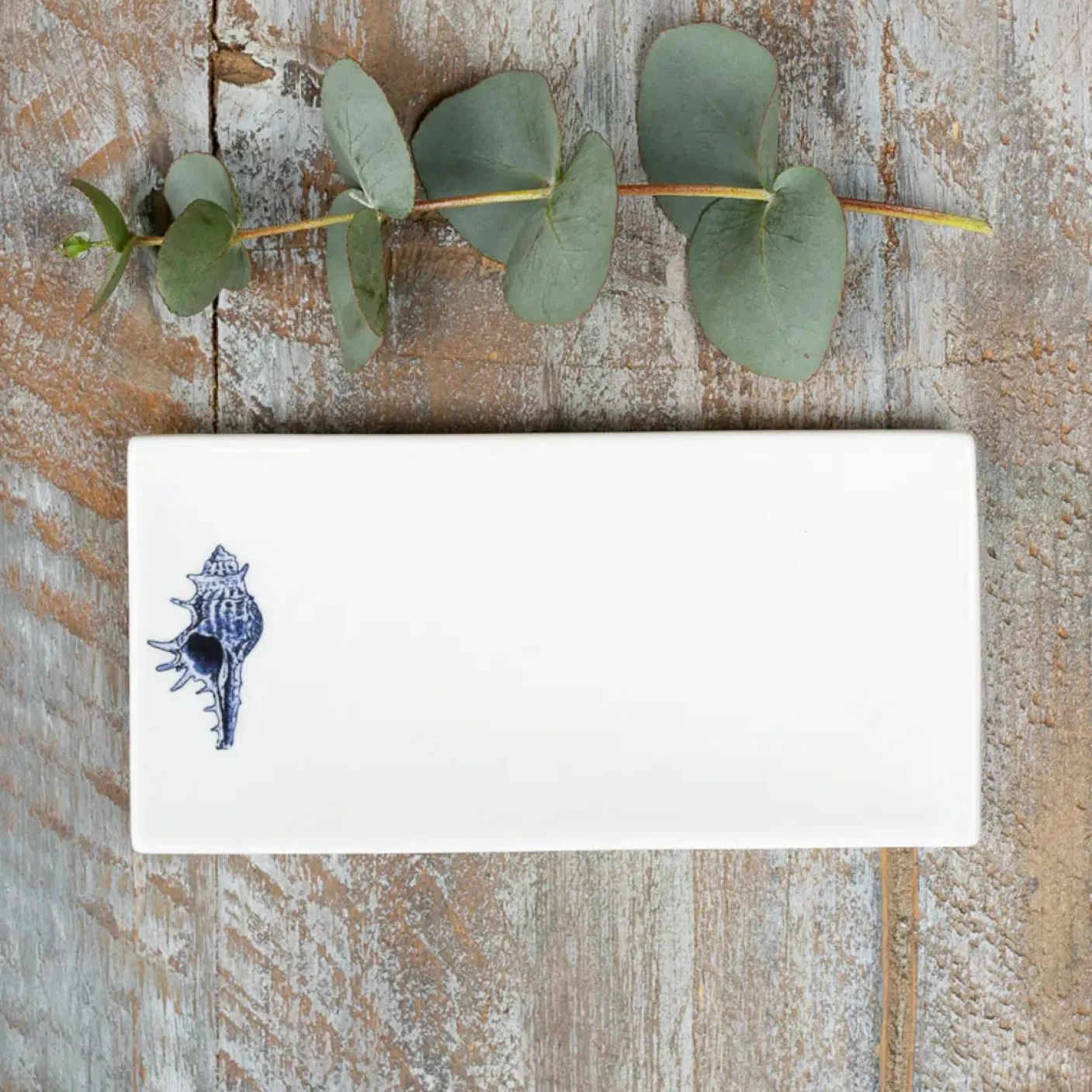 Conch China Rectangular Soap Dish