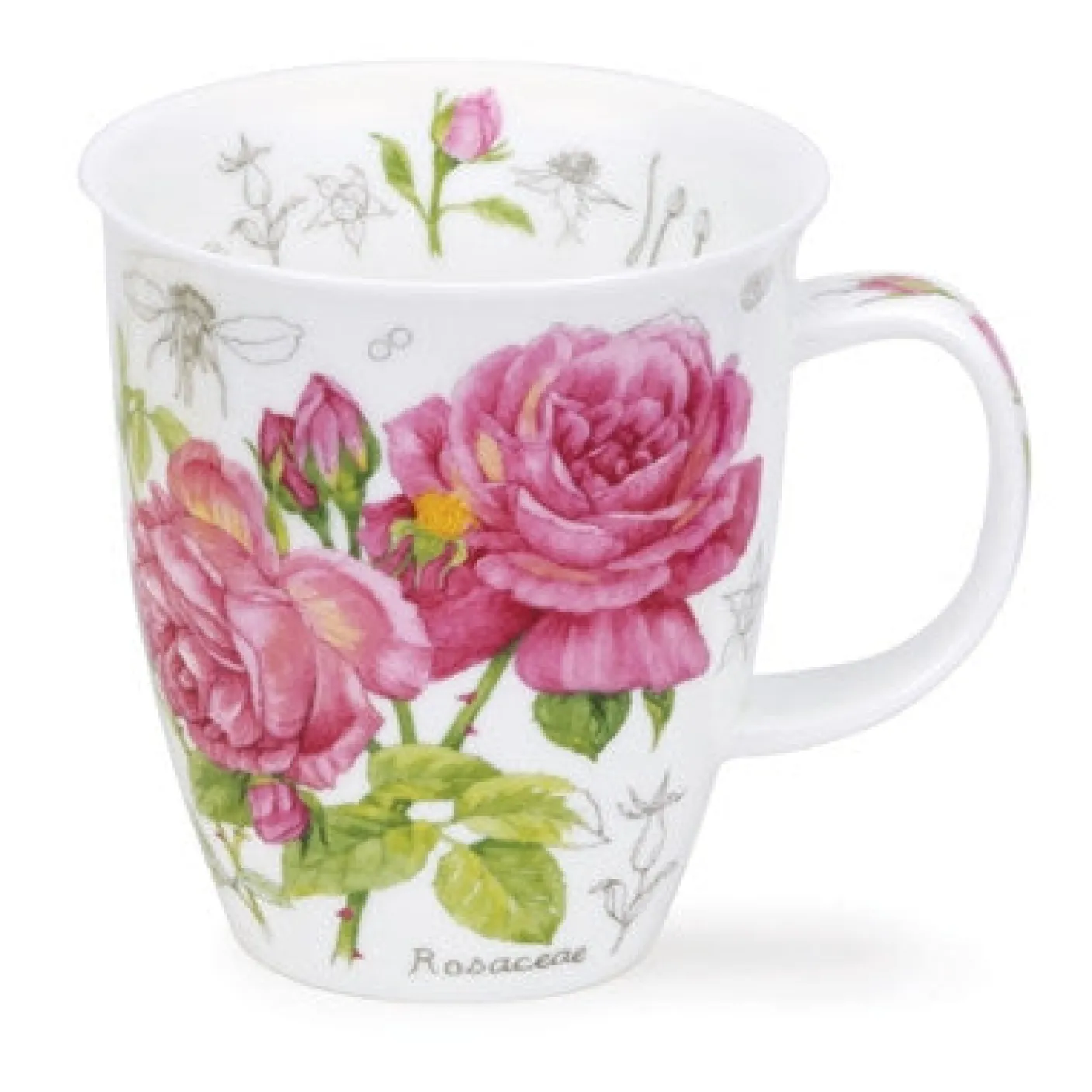 Nevis Floral Sketch Mugs
