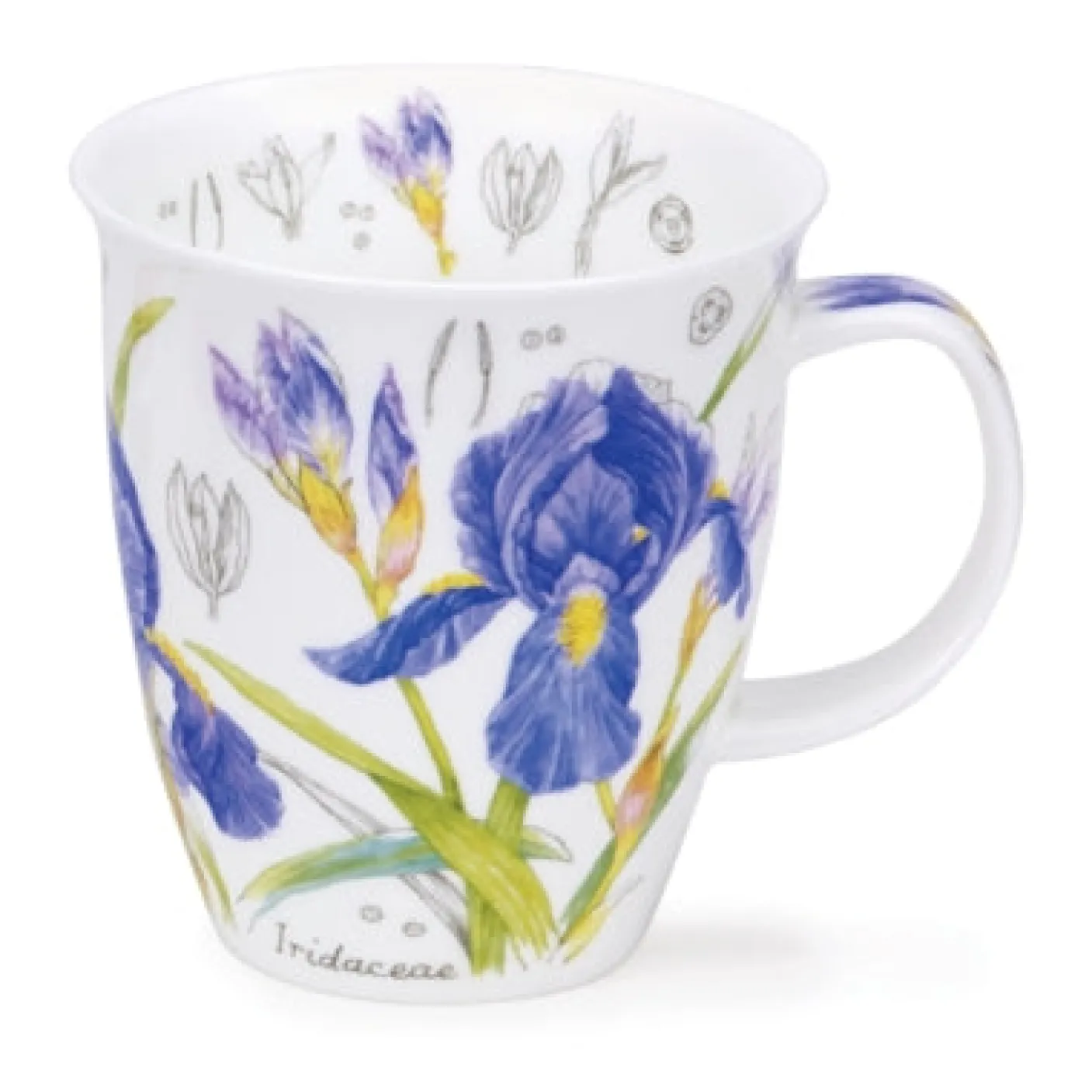Nevis Floral Sketch Mugs