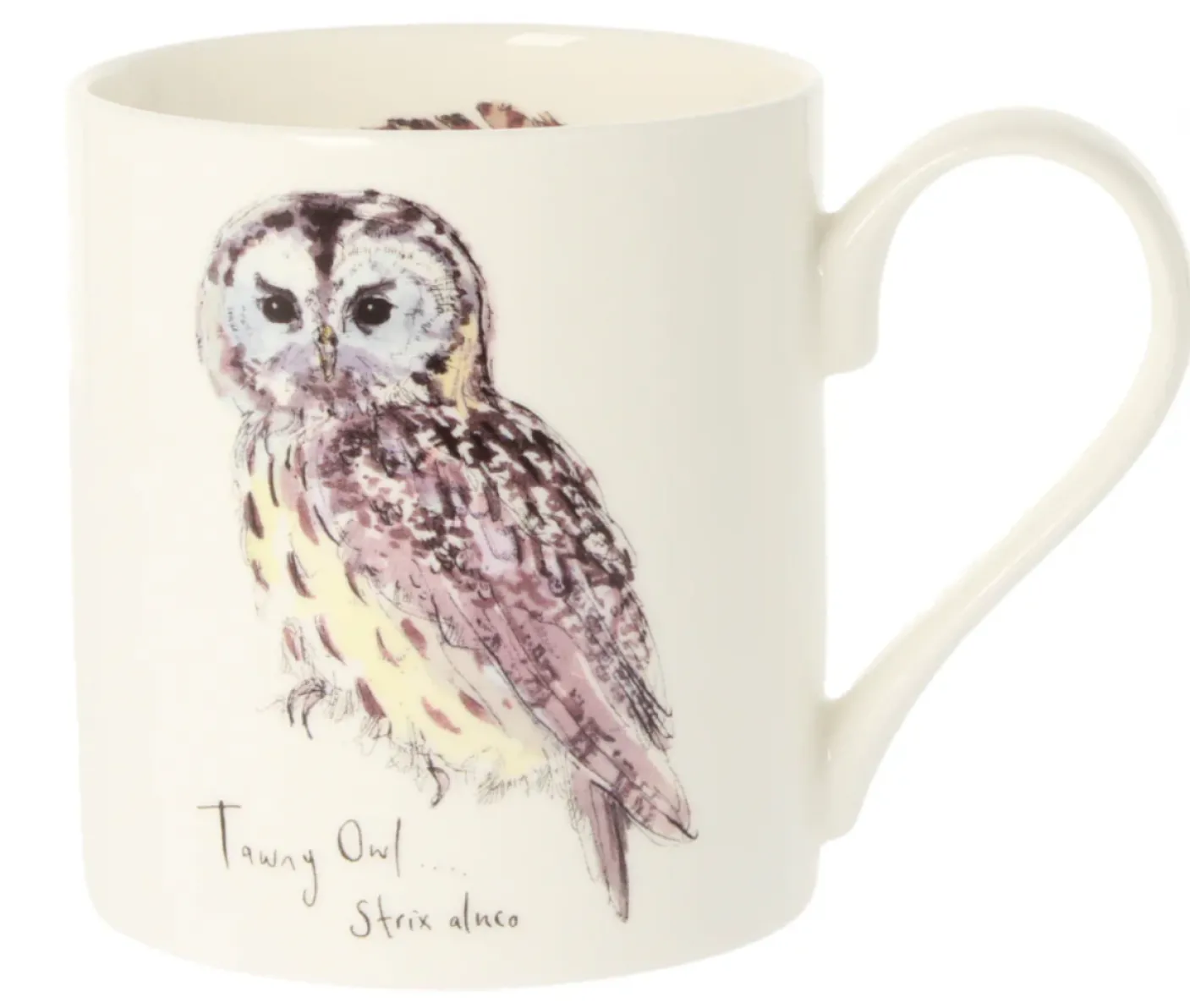 Tawny Owl Bone China Mug