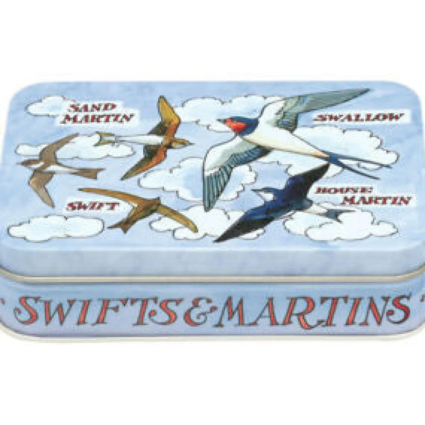 Bird Families Small Rectangular Tin