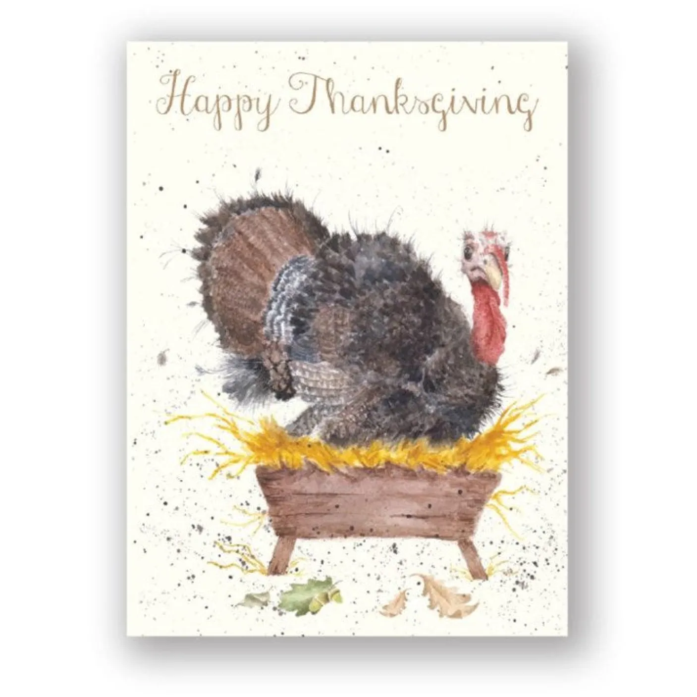 Happy Thanksgiving Card
