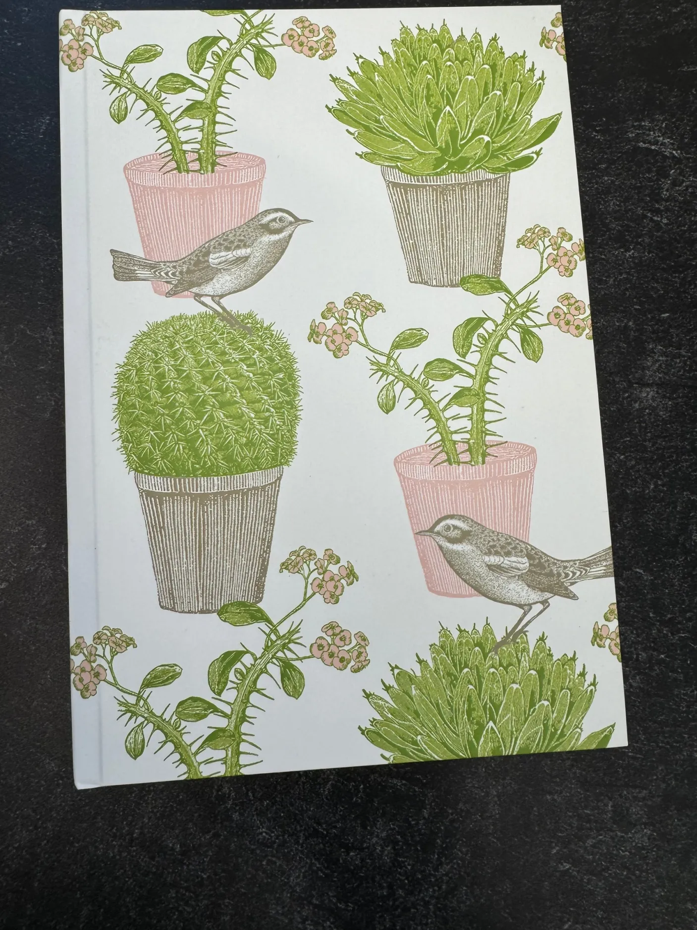 Cactus & Bird A5 Hardback Notebook