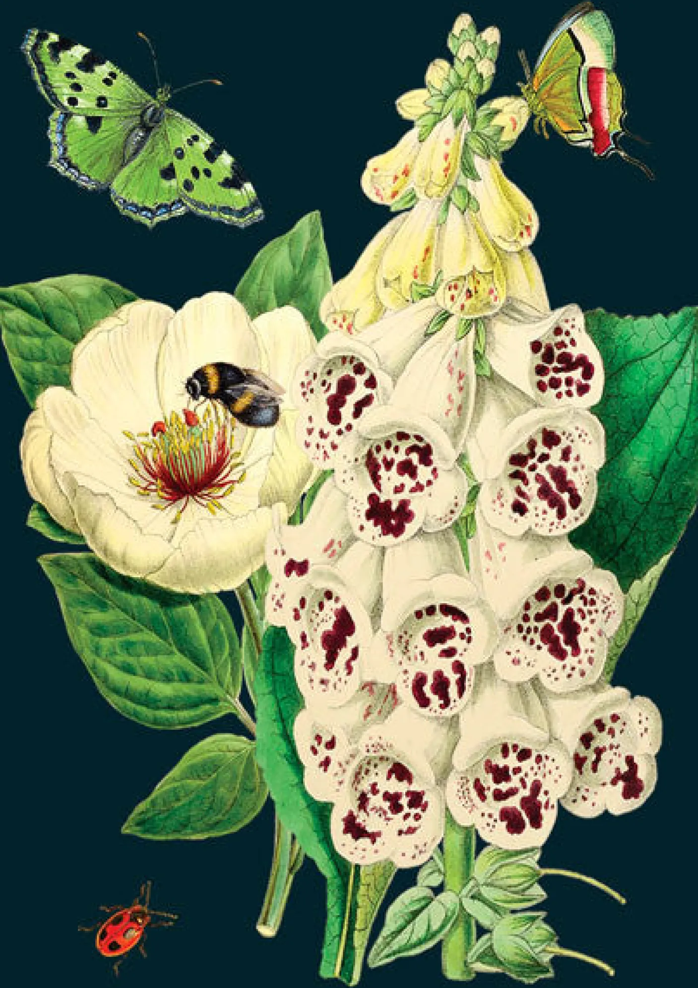 Foxglove & Peony Greetings Card