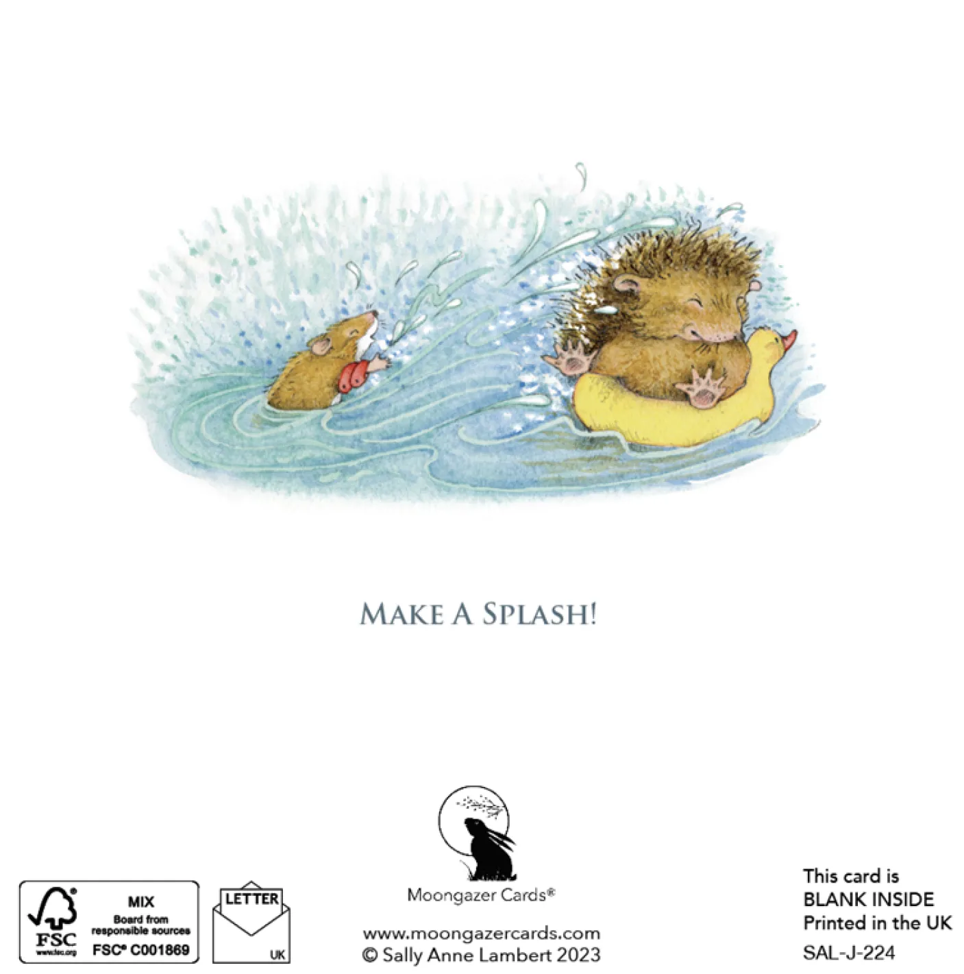 Make a Splash Greeting Card