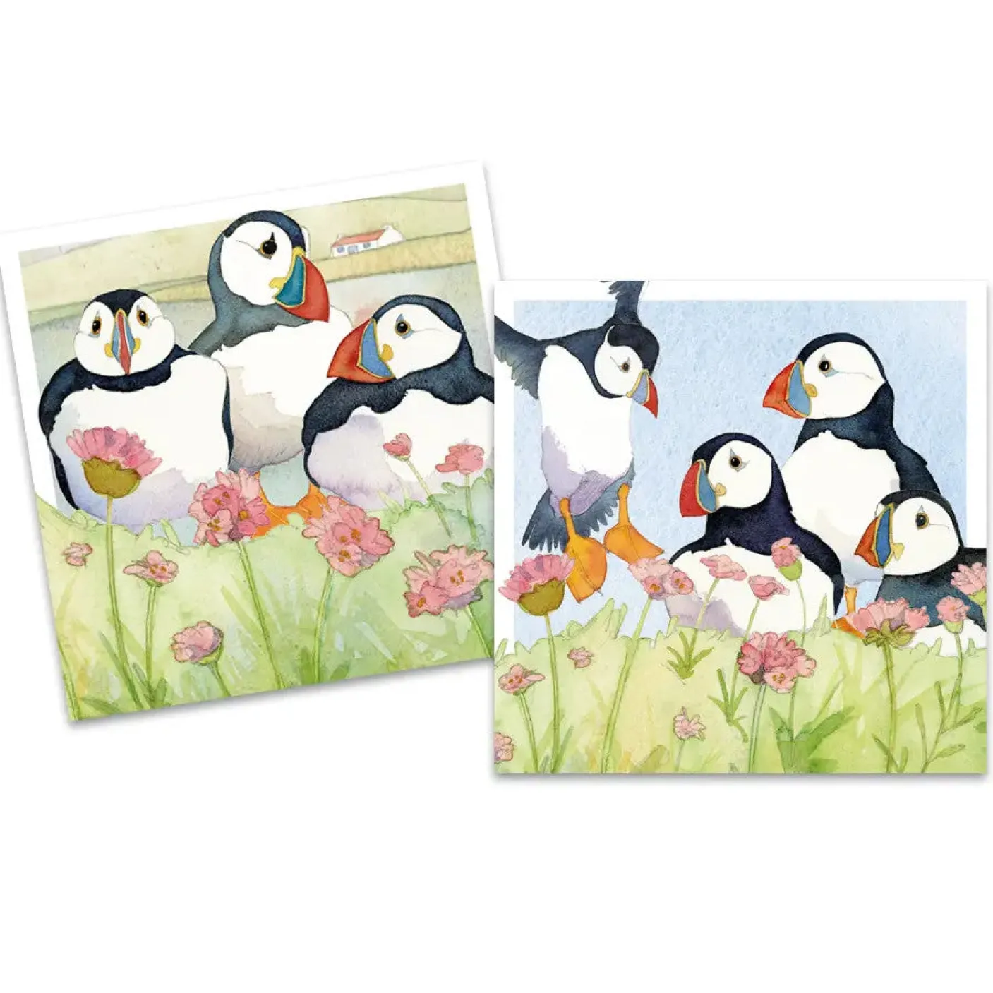 Sea Thrift Puffins pack of 10 Mini Notecards