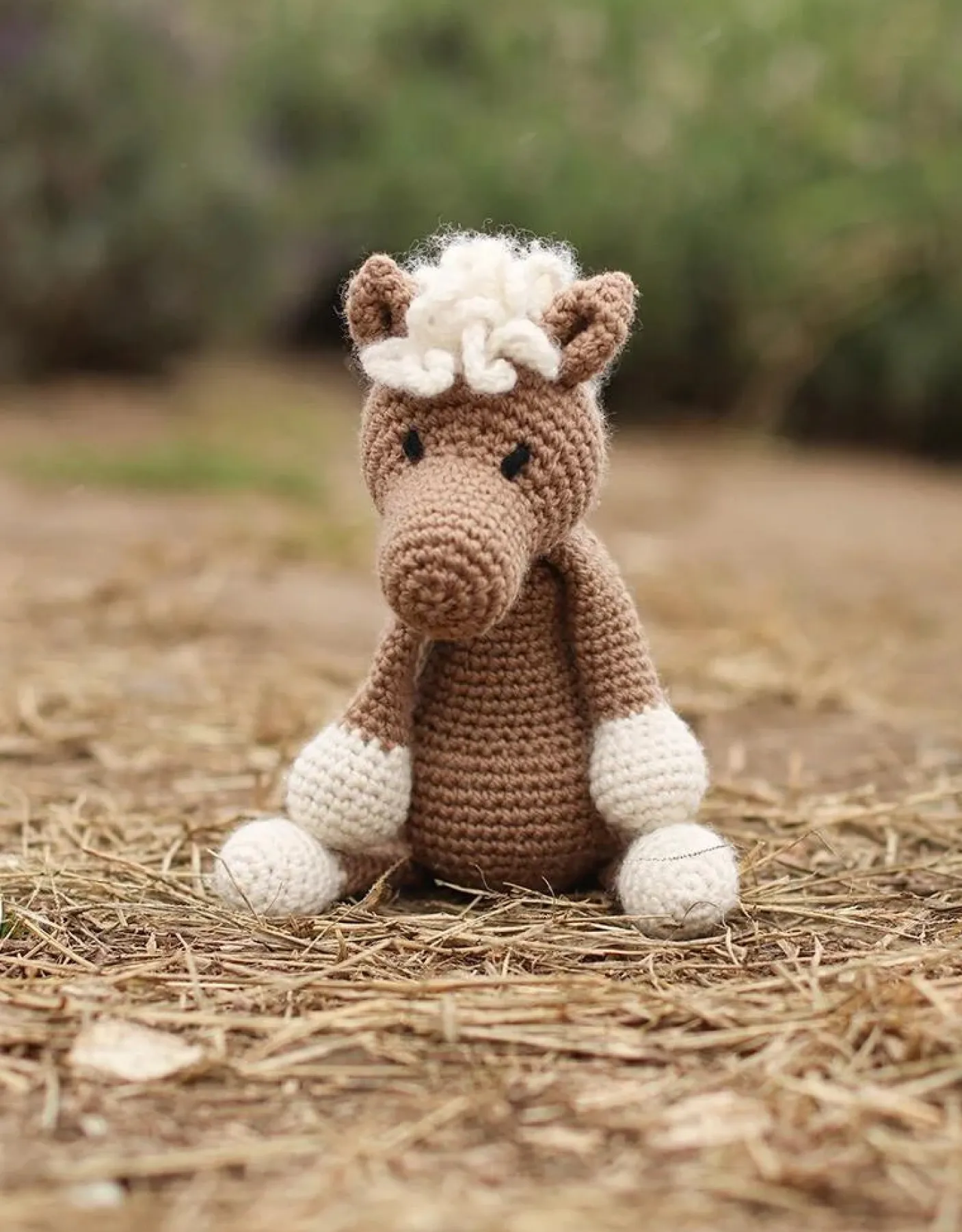 Chardonnay the Pony Kit