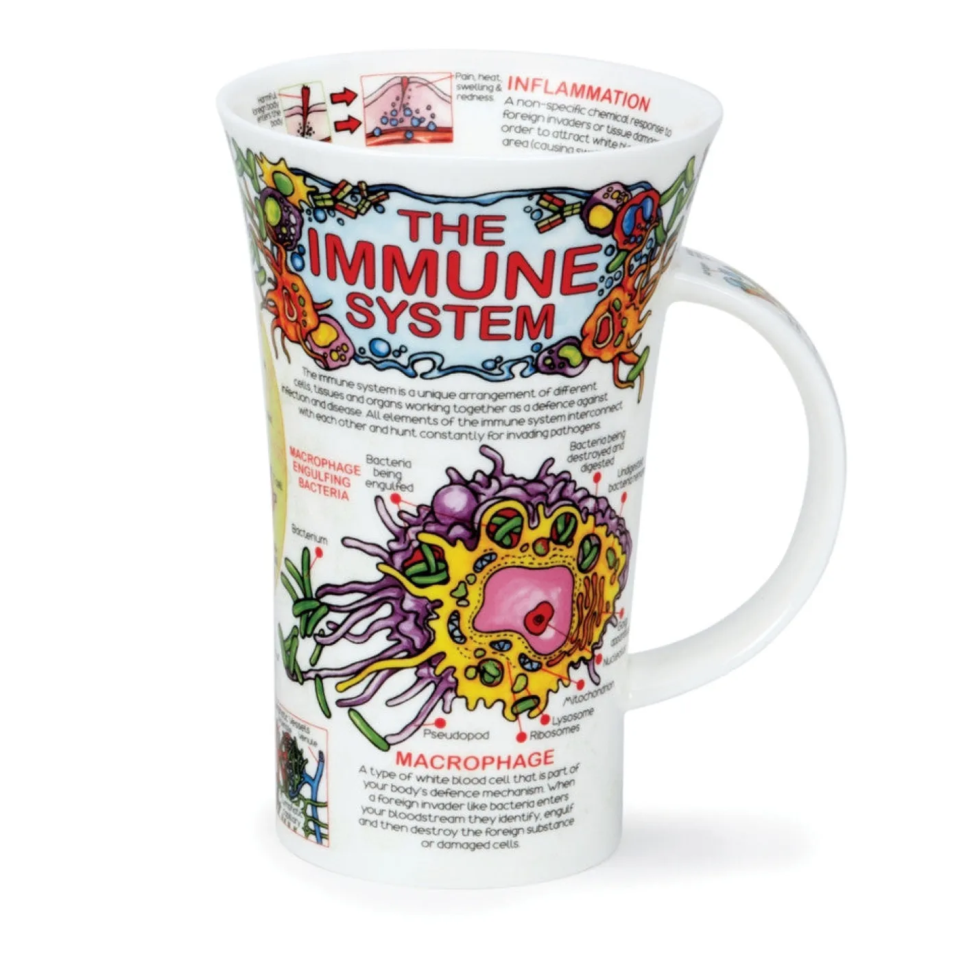 Glencoe The Immune System Mug