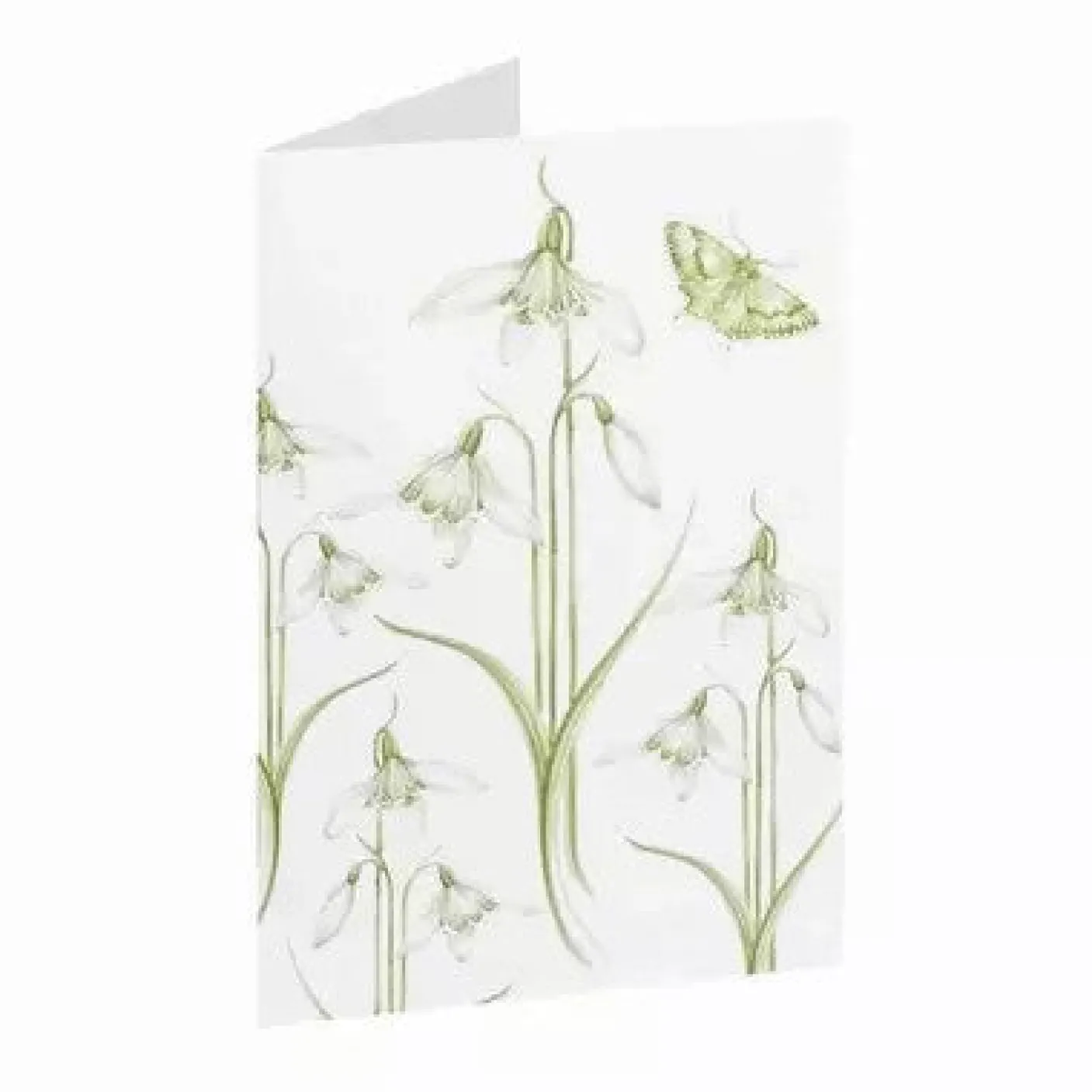 Snowdrop Little Flowers Greeting Card