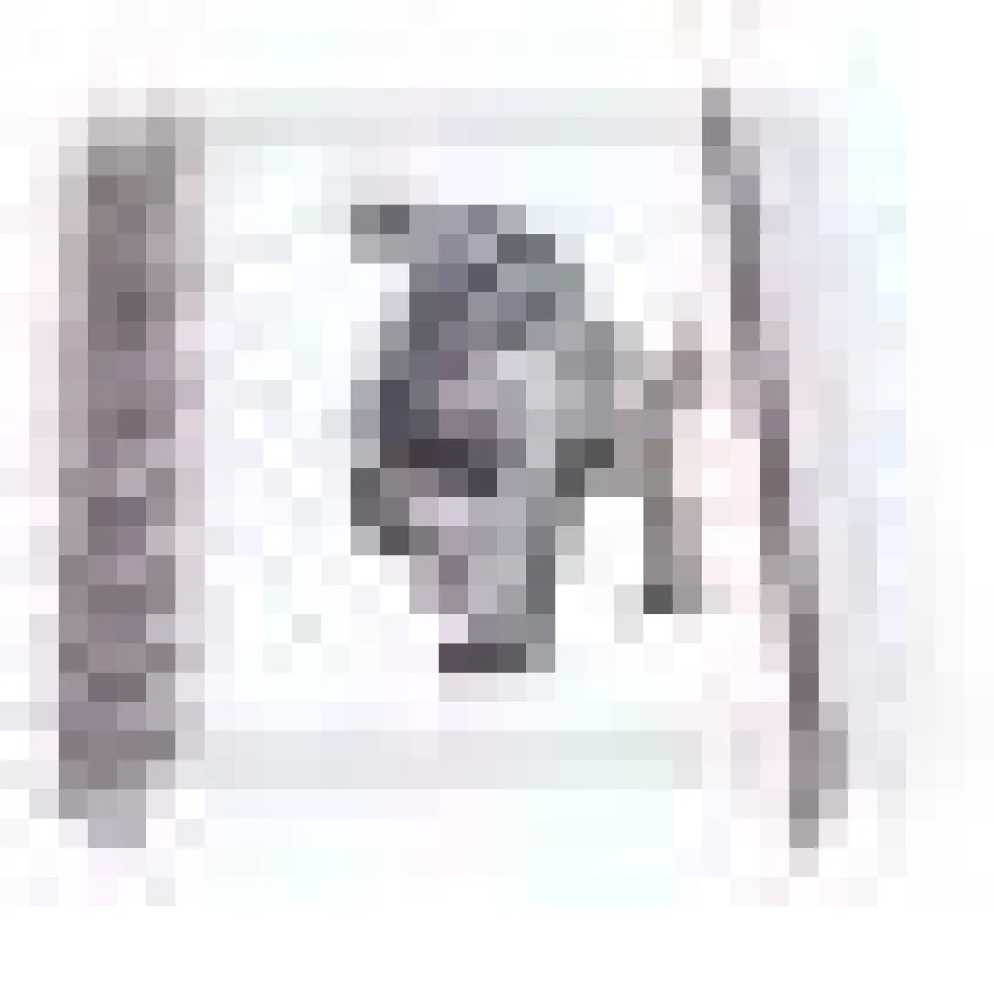 Labrador Spiral Bound Notebook