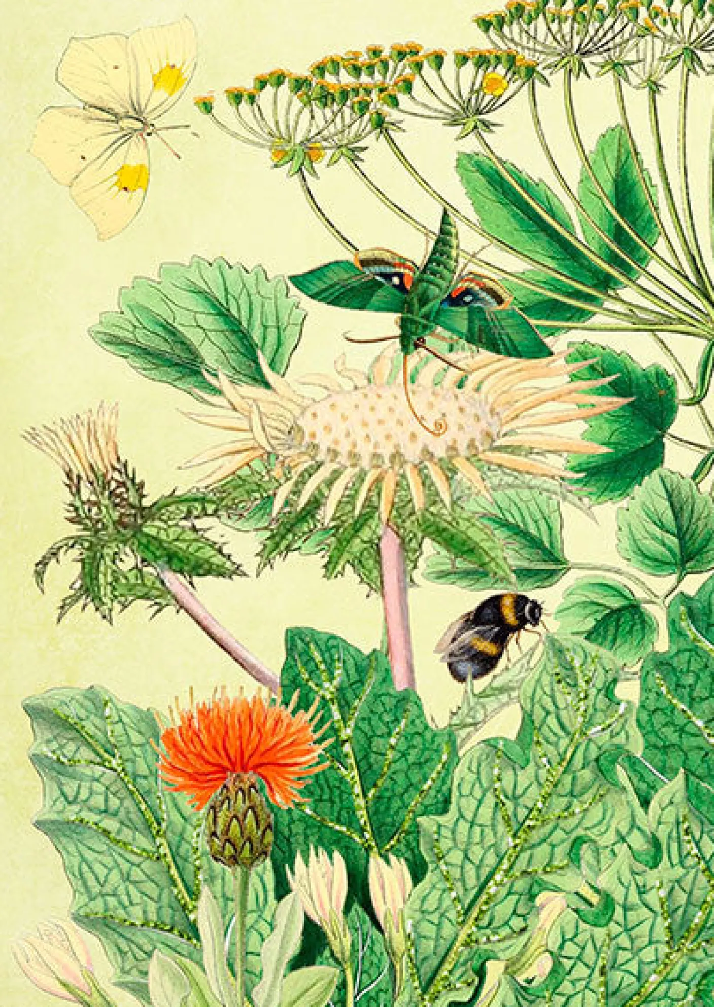 Jini's Garden Glitter Greetings Card