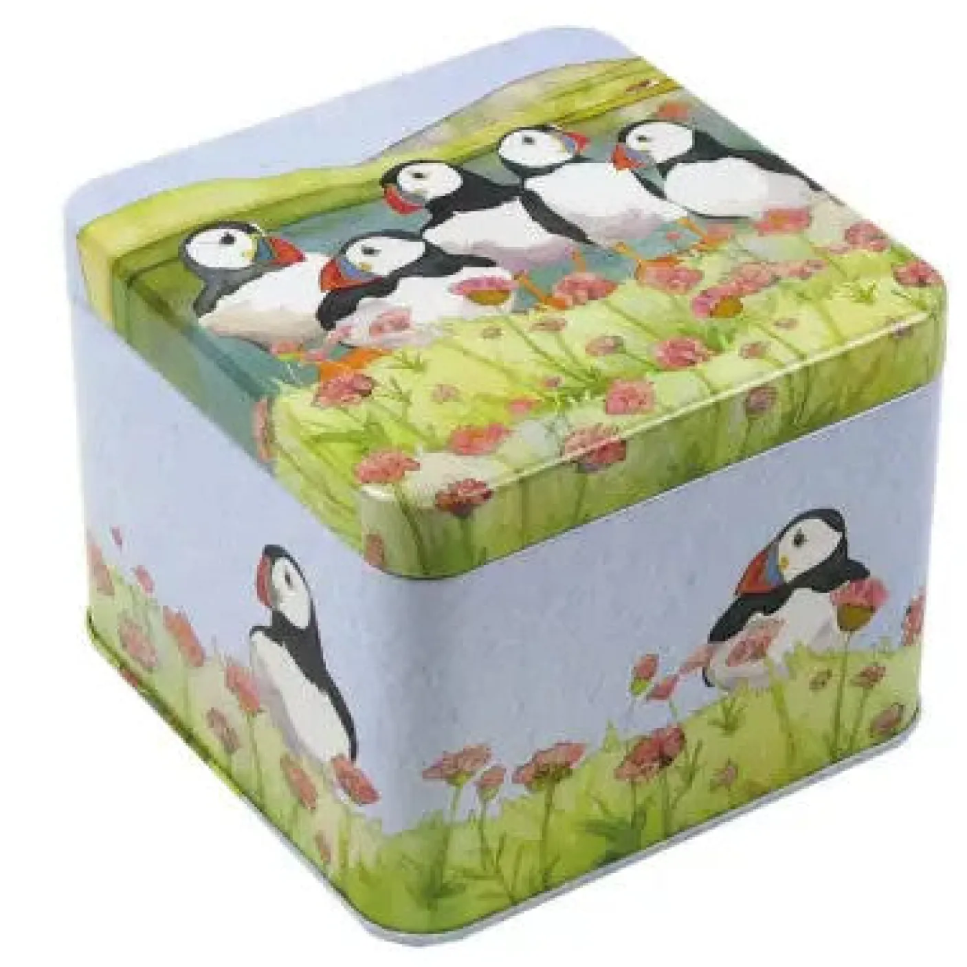 Sea Thrift Puffins Small Square Tin