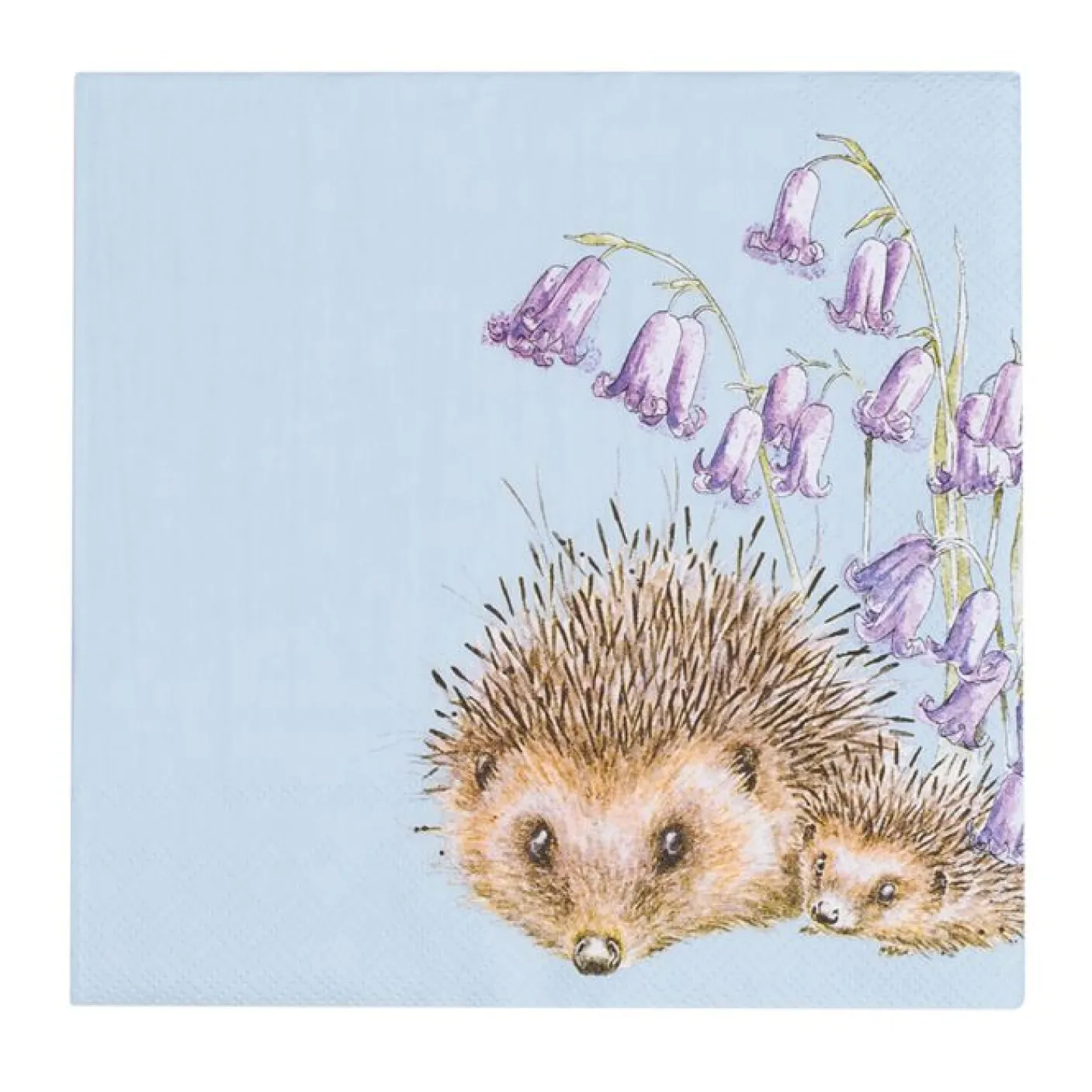 'Awakening' Hedgehog Paper Napkins