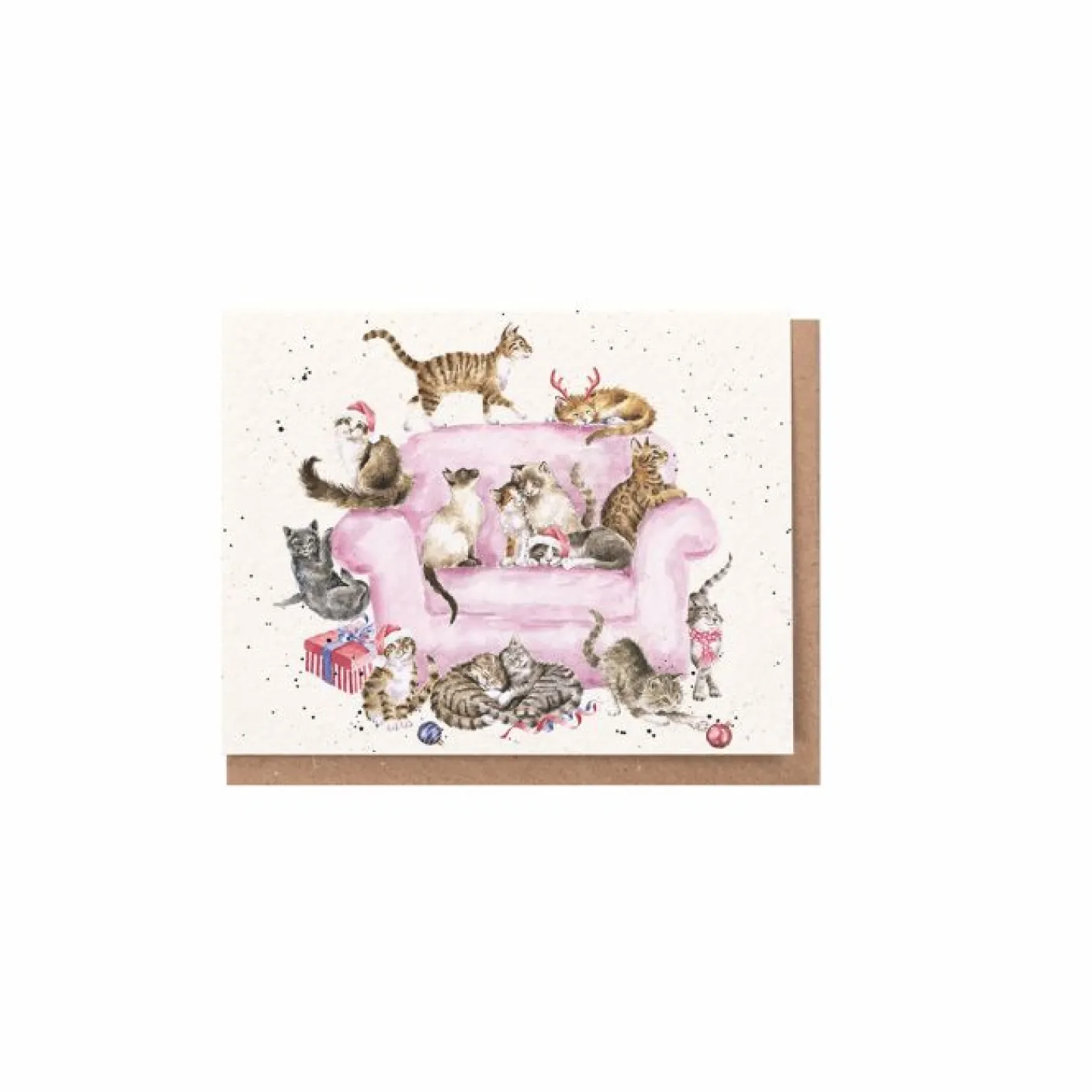 'Meowy Christmas' Cat Gift Enclosure Card