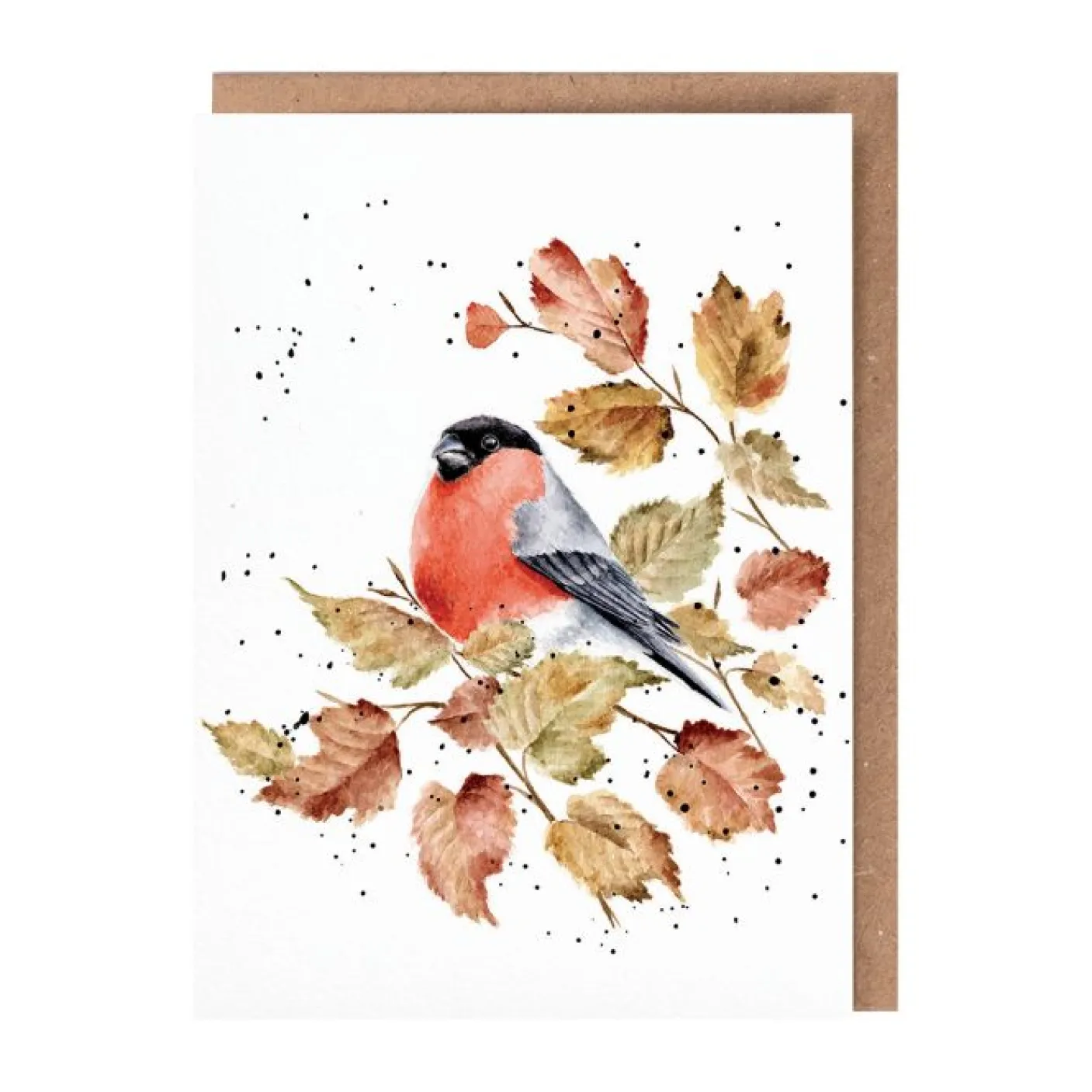 'Bold and Beautiful' Bullfinch Greetings Card