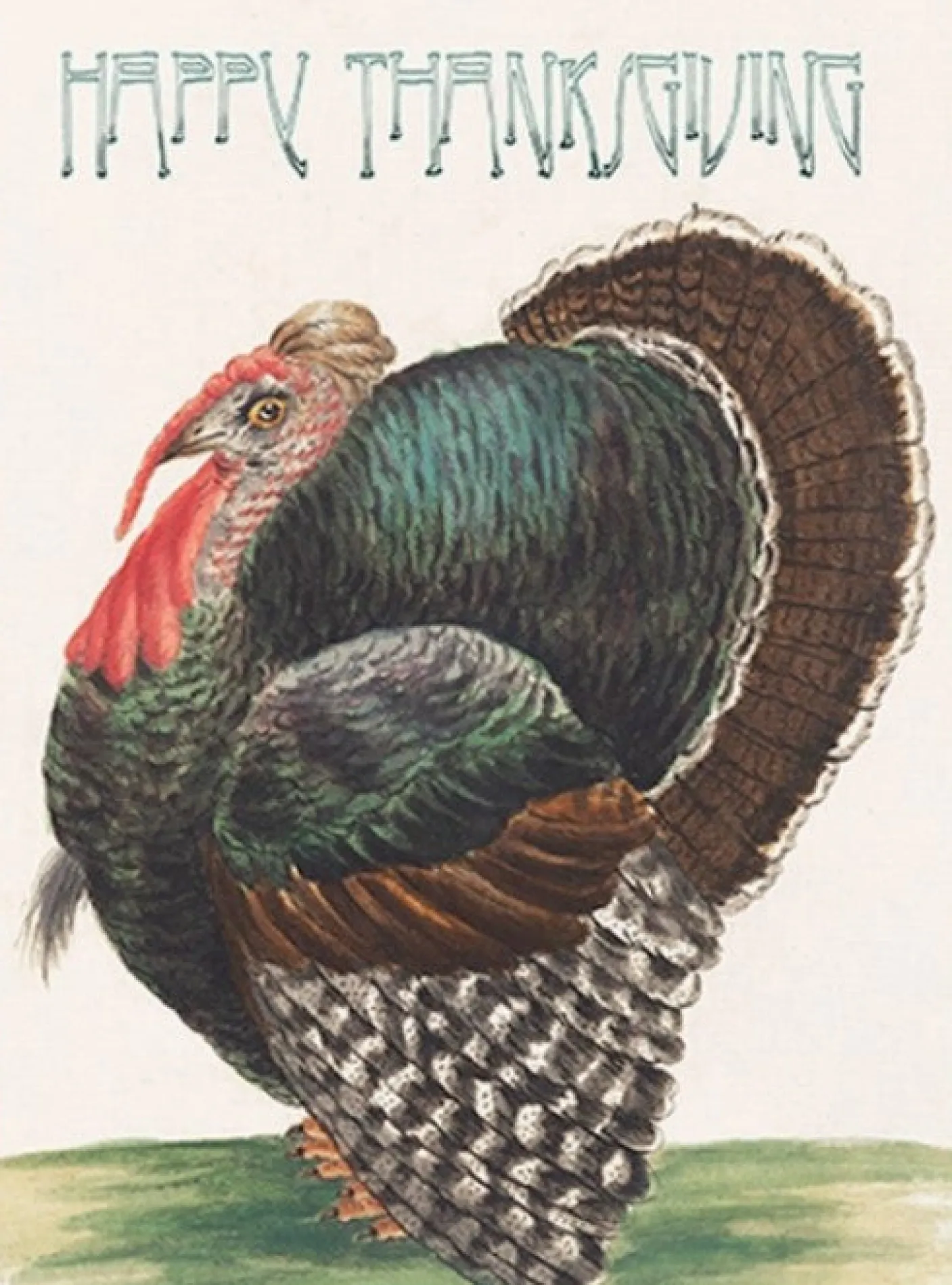 Happy Thanksgiving Greeting Card