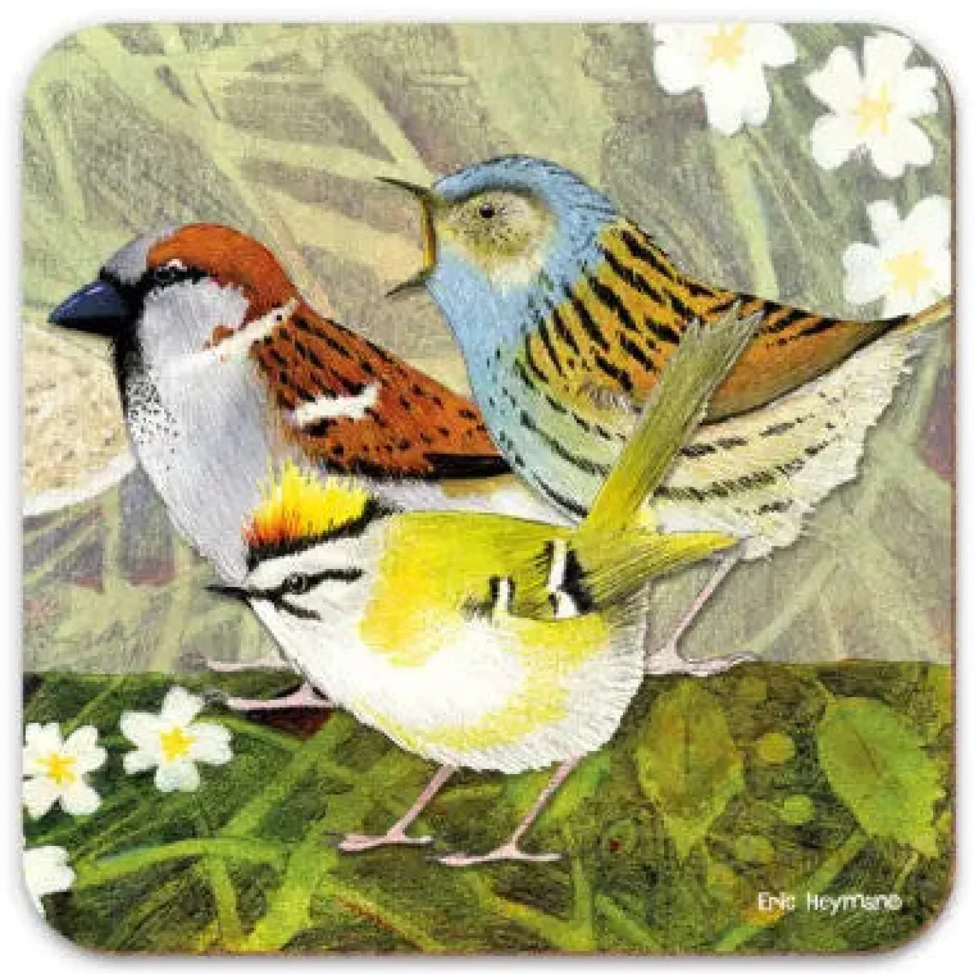 British Birds 4  Coaster