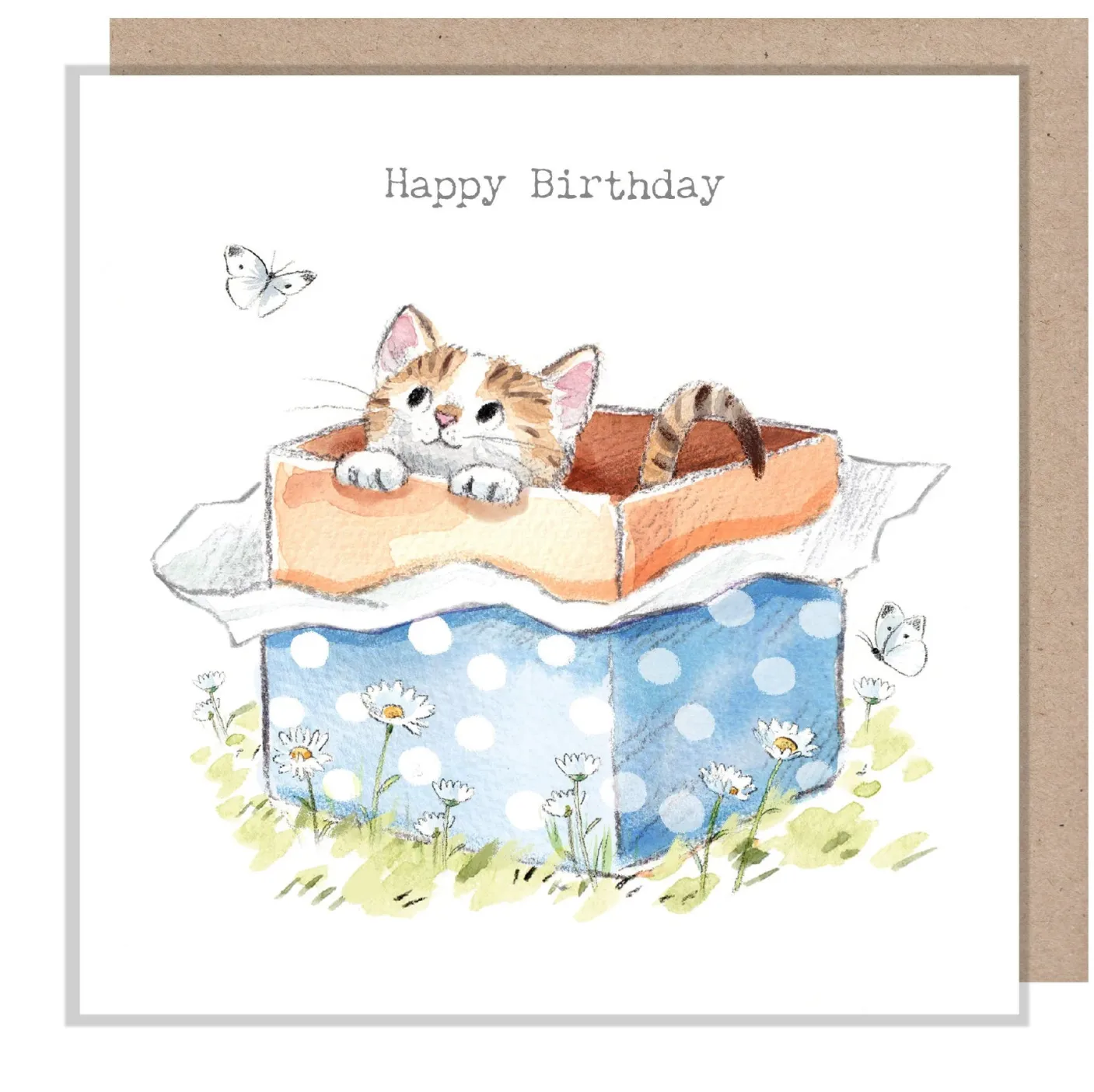 Cat in a Box "Happy Birthday" Greetings Card