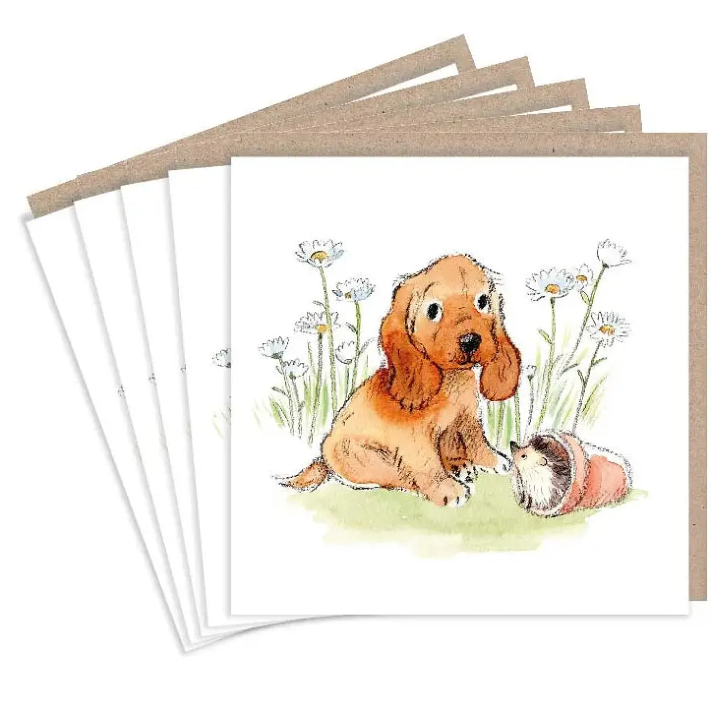 Cocker Spaniel Sitting with Hedgehog Set of 5 Notecards