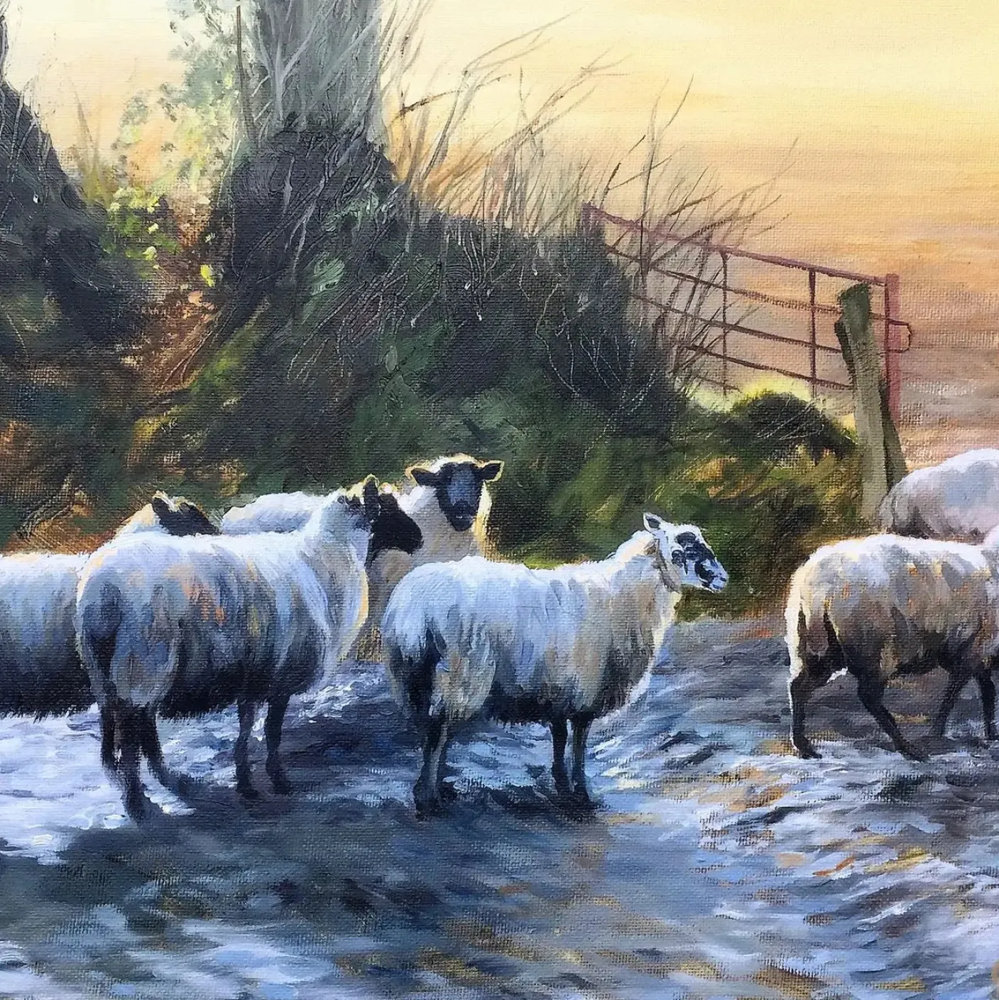 Pastures New 500 Piece Jigsaw Puzzle