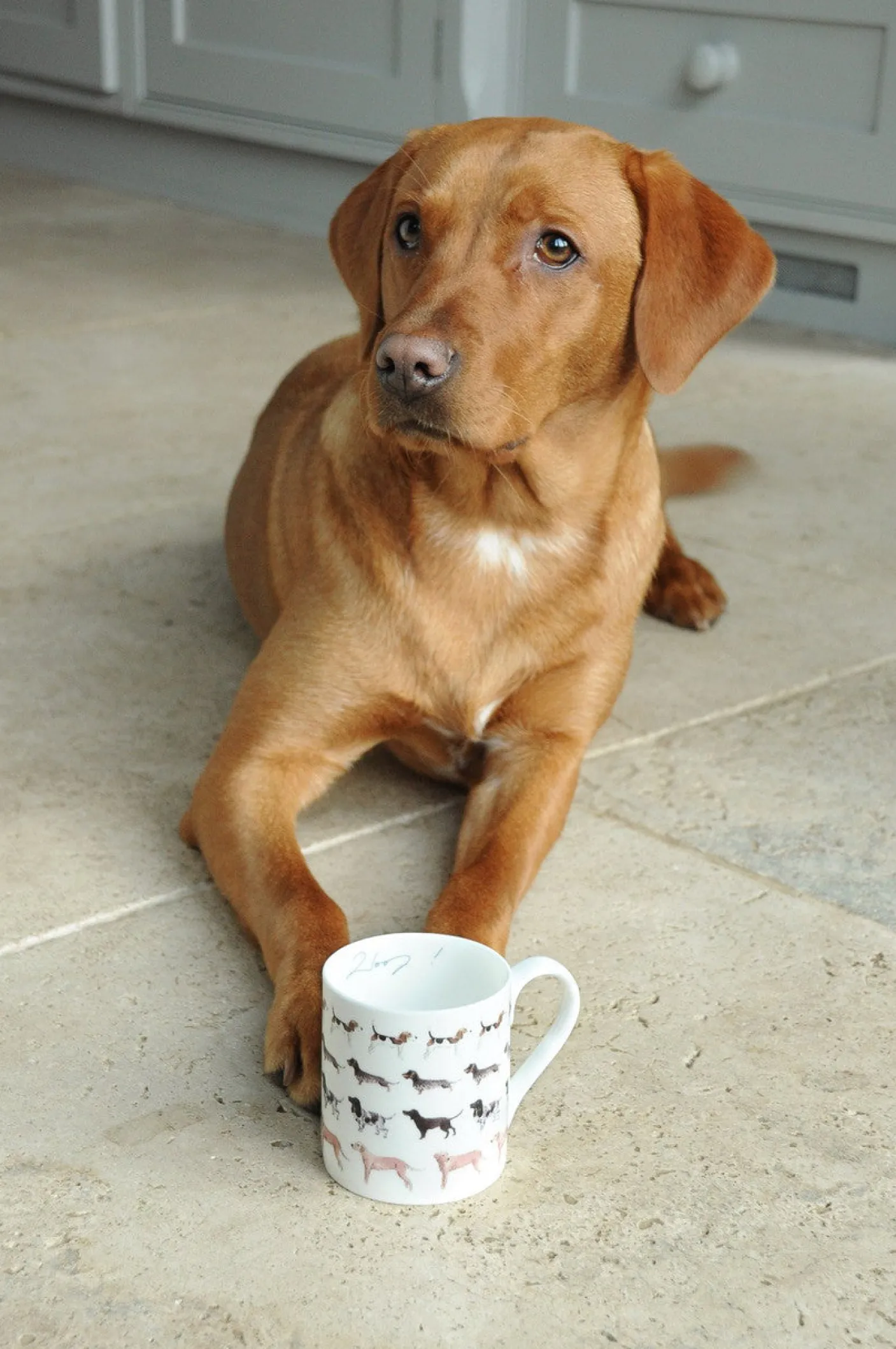 Woof! Mug