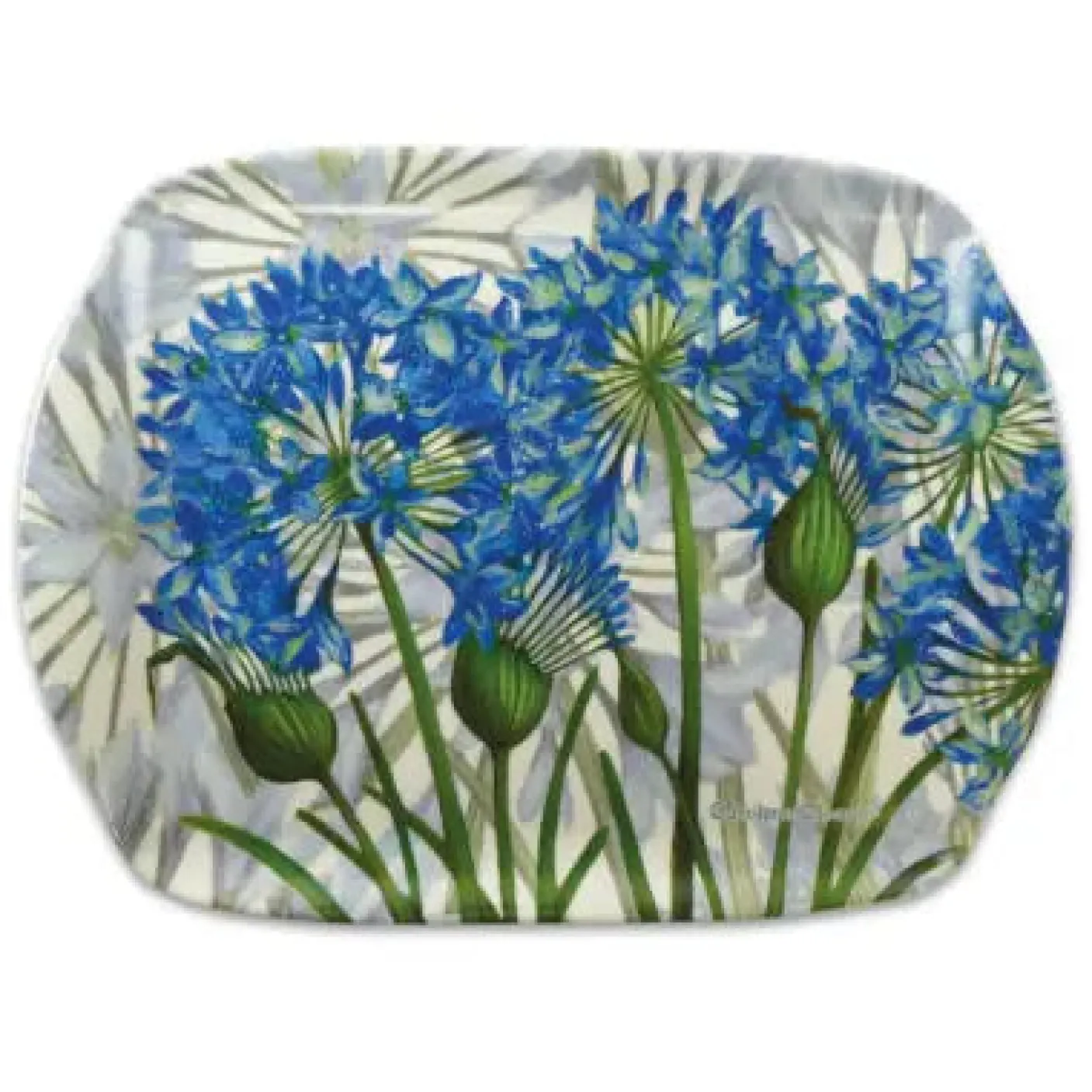 Caroline Cleave Bright and Colorful Agapanthus Melamine Medium Tray