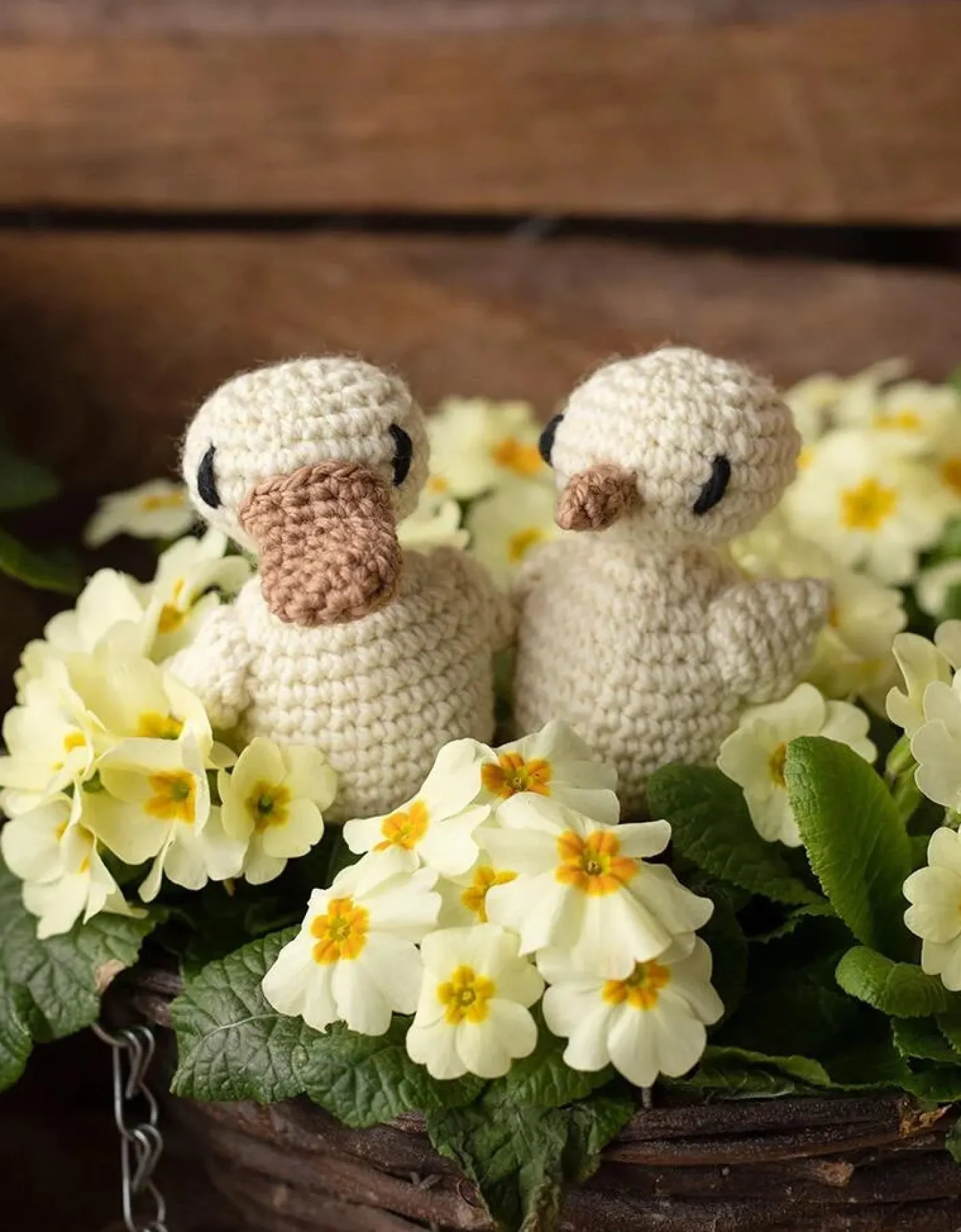 Duckling and Chick Crochet Kit