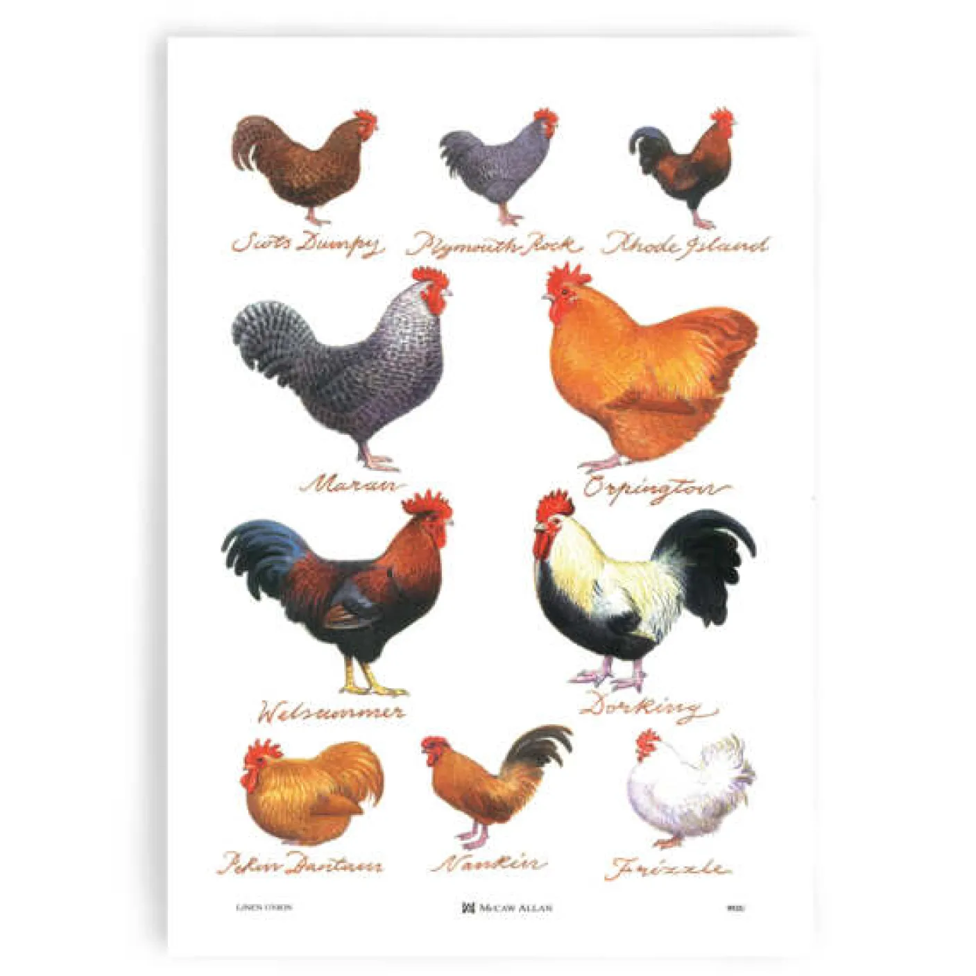 Chicken Breeds Cotton Tea Towel