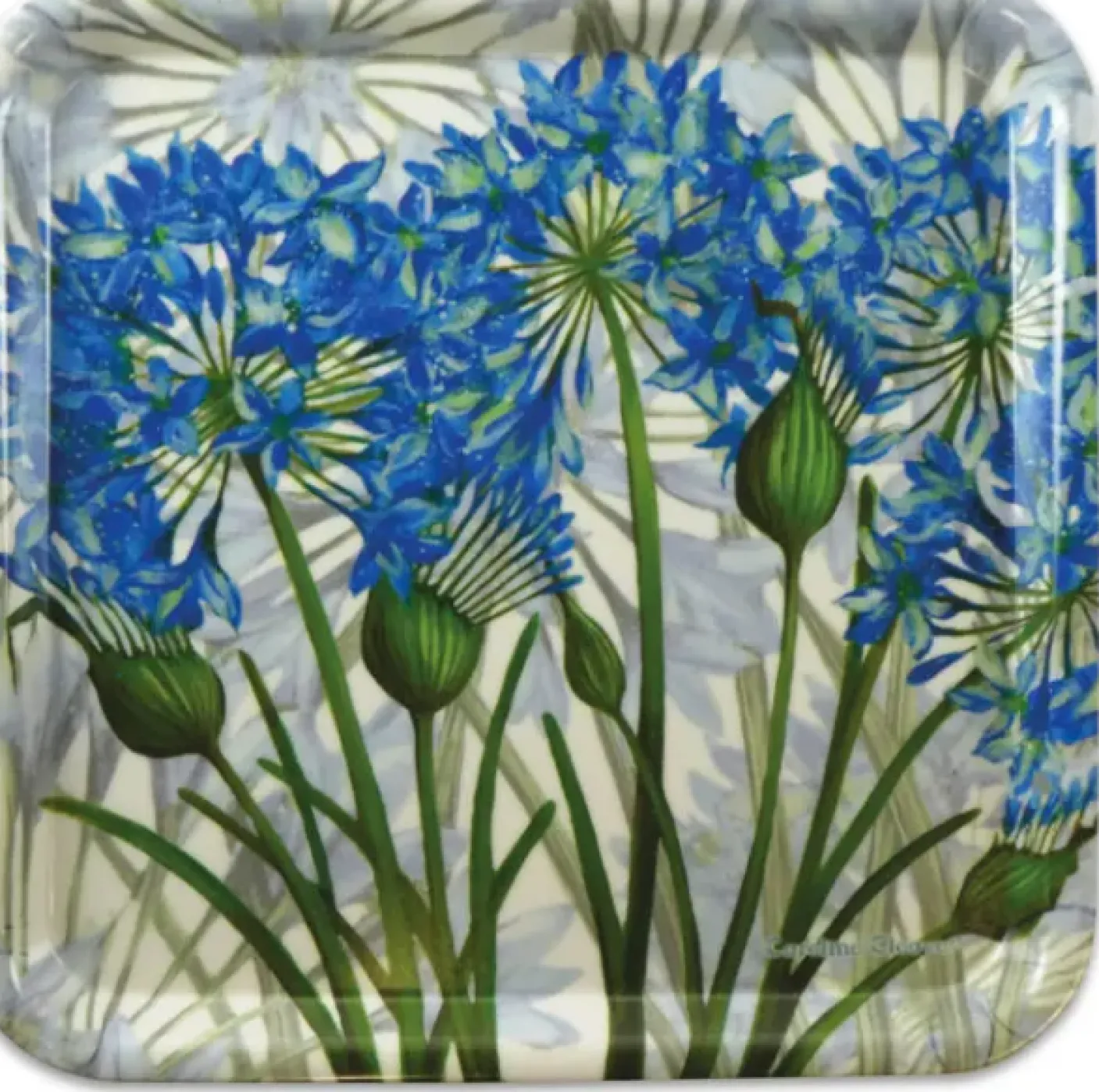 Caroline Cleave Agapanthus Melamine Square Tray