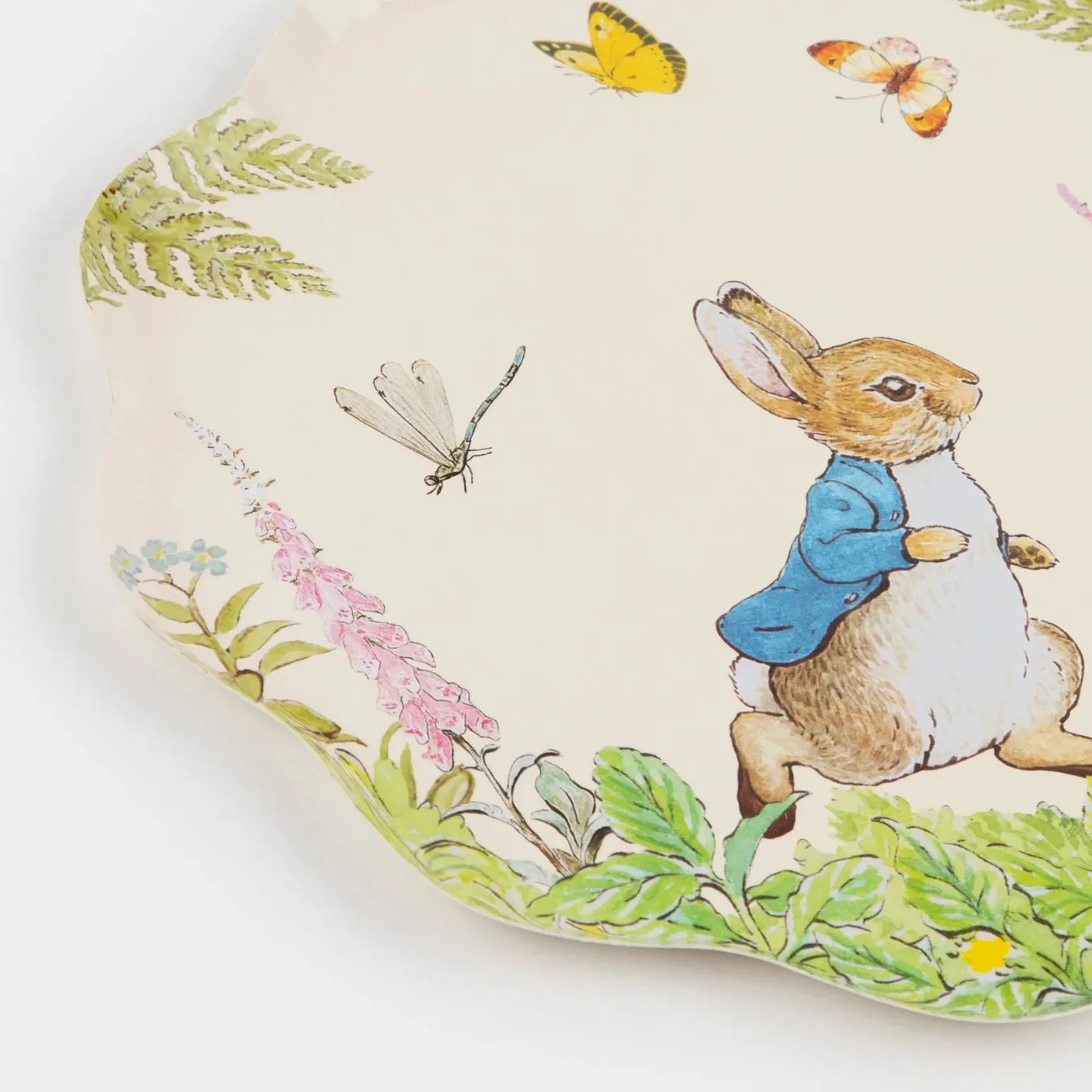 Peter Rabbit In The Garden Dinner Plates