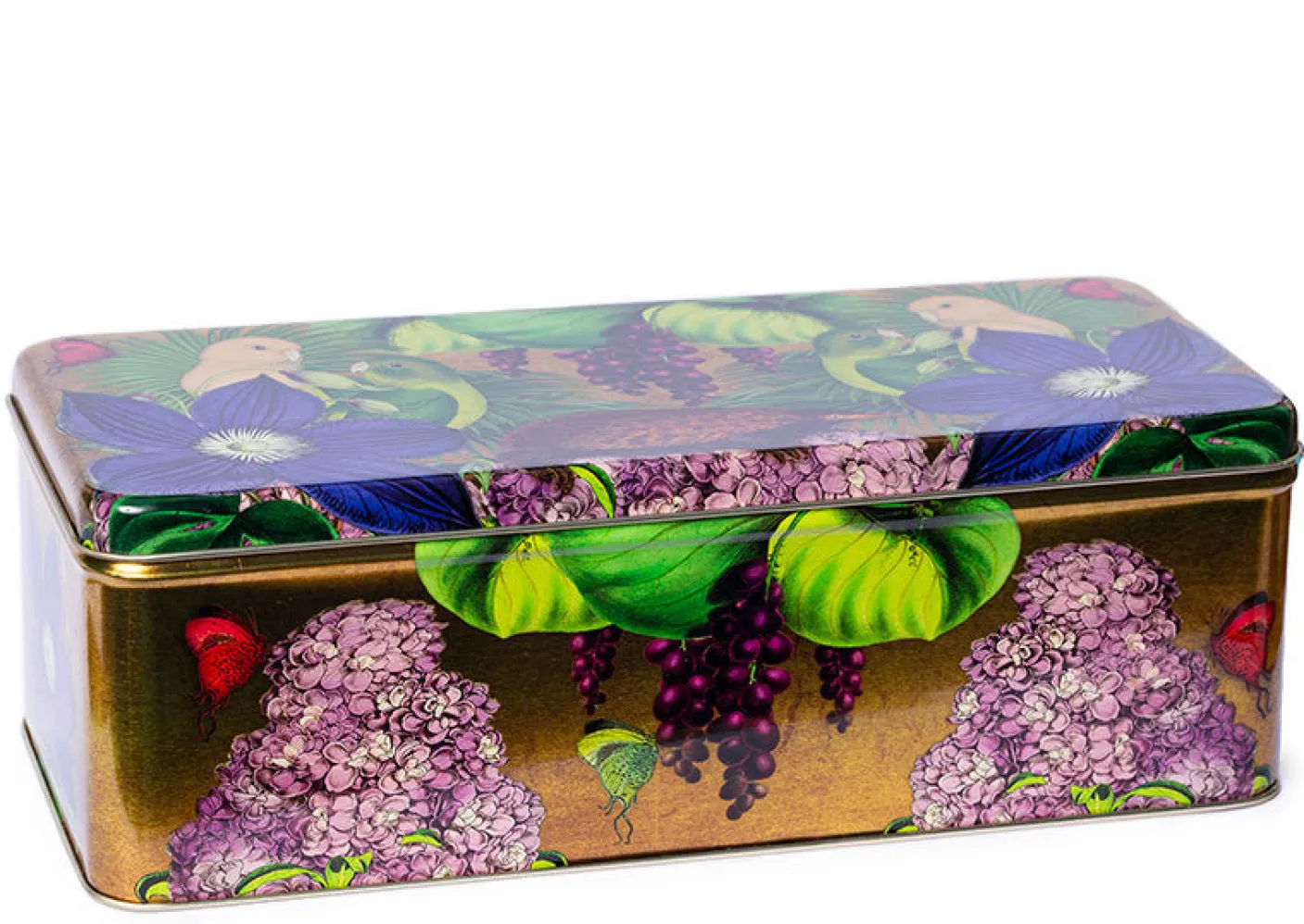 Madame Treacle Whimsical Garden Long Deep Rectangular Tin