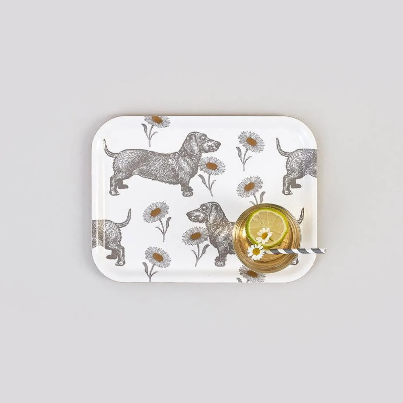 Dog & Daisy Small Tray