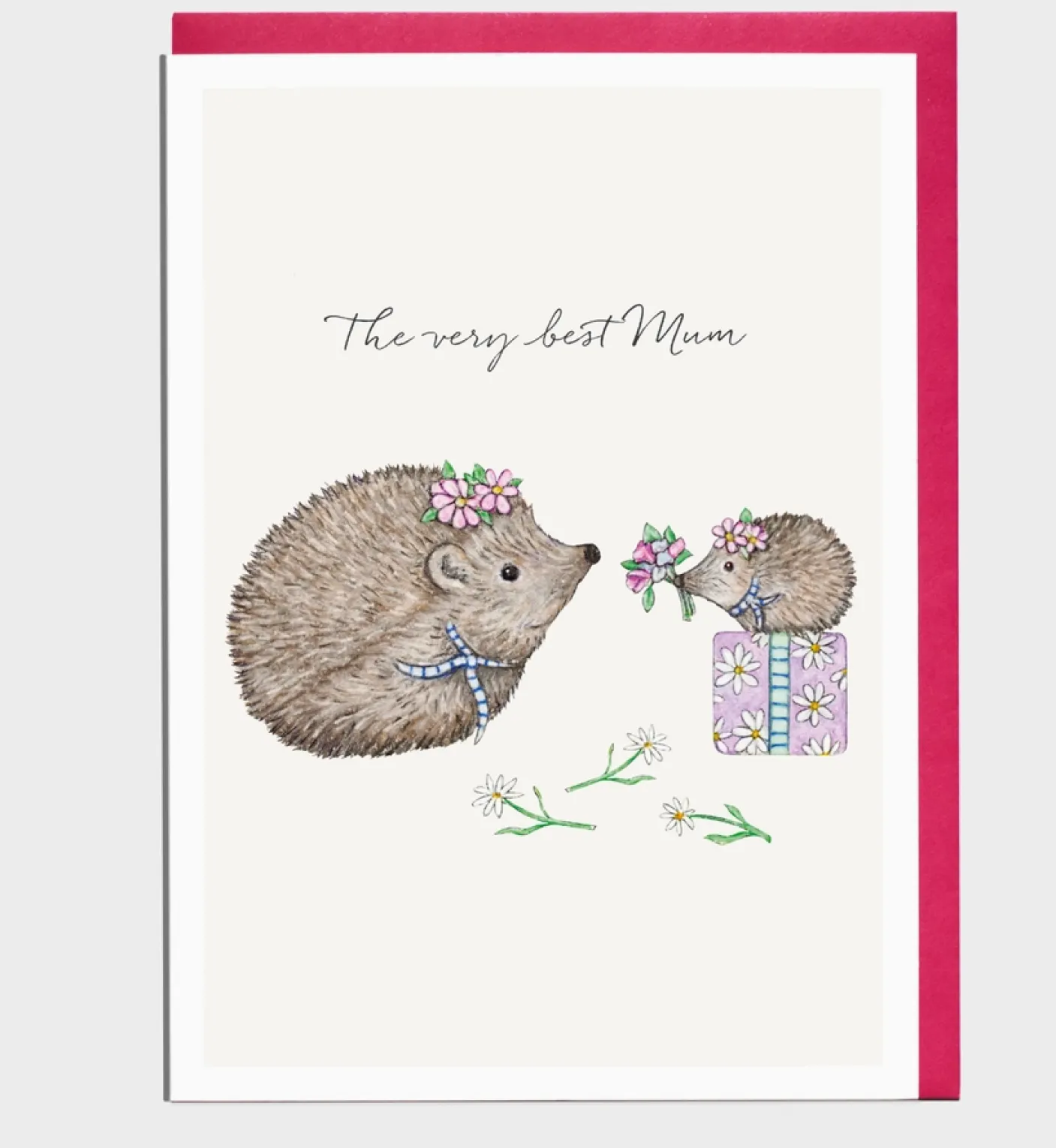 Hedgehog Mother's Day Card