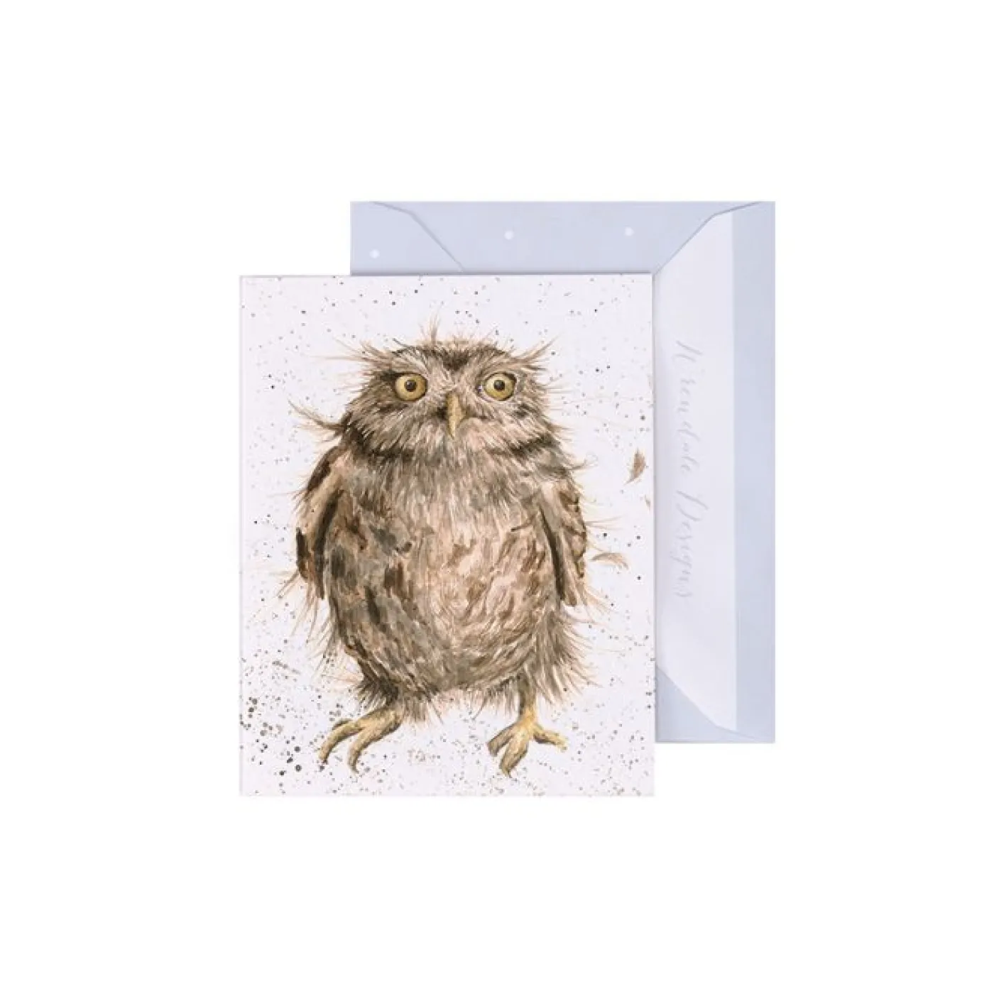 'What a Hoot' Owl Enclosure Card