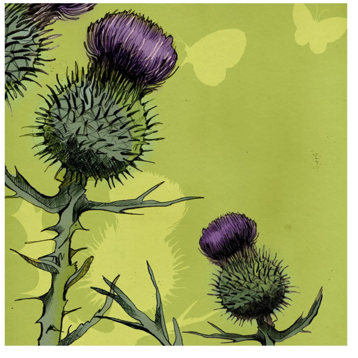 Thistle Greetings Card