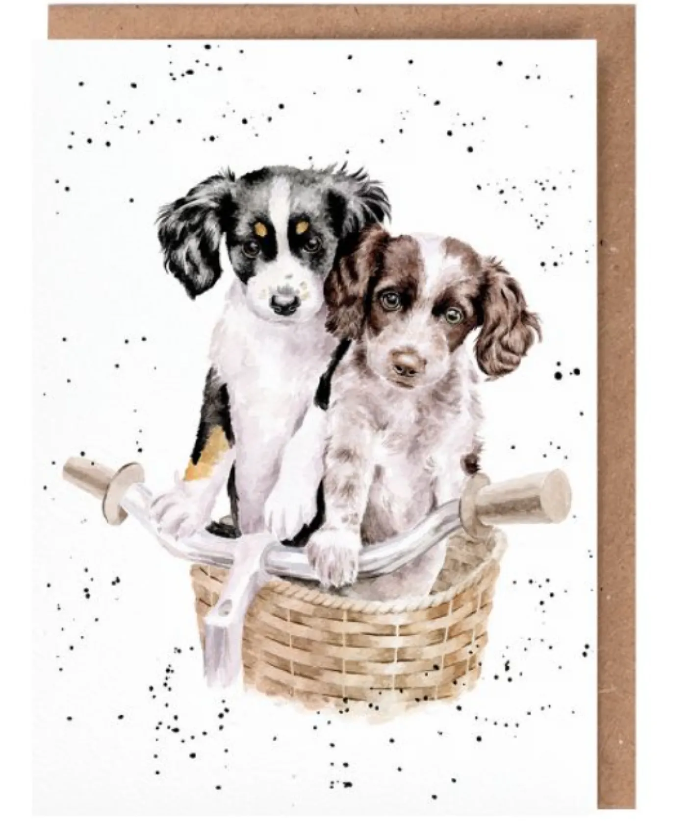 'Paws and Pedals' Dog Greetings Card